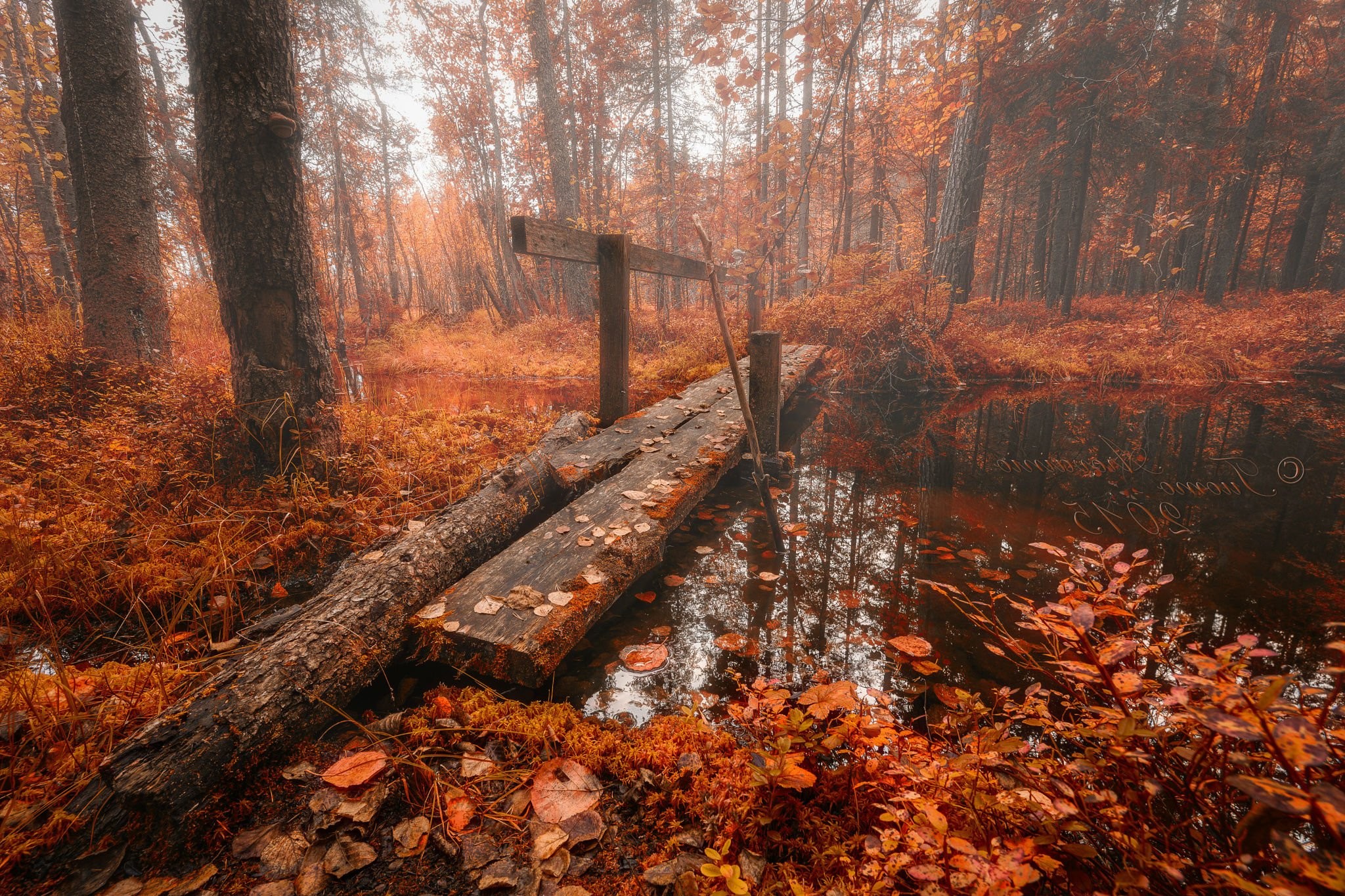 Autumn, Landscape, Mobile Phone, High Definition, Desktop Wallpaper, Bridge, Free Image, Leaves, green, Forest, Fall, Nature, Beautiful Nat
