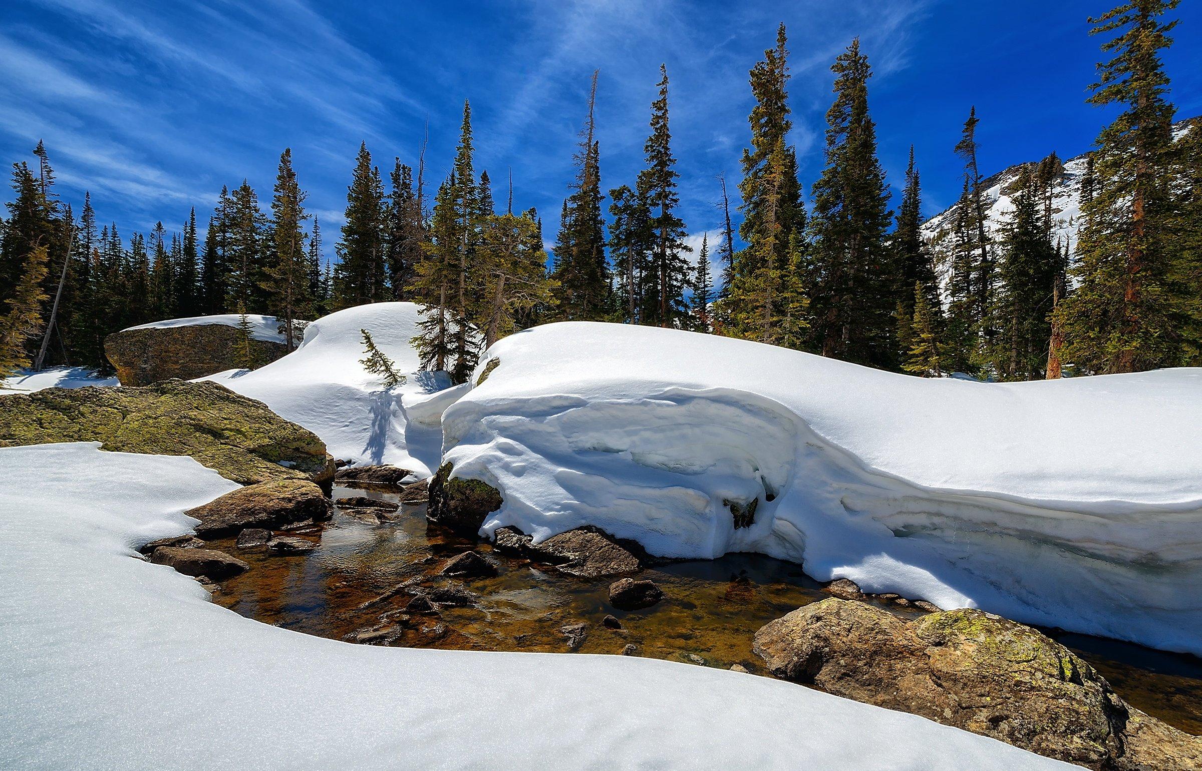 Rocky Mountain National Park Colorado winter trees mountains