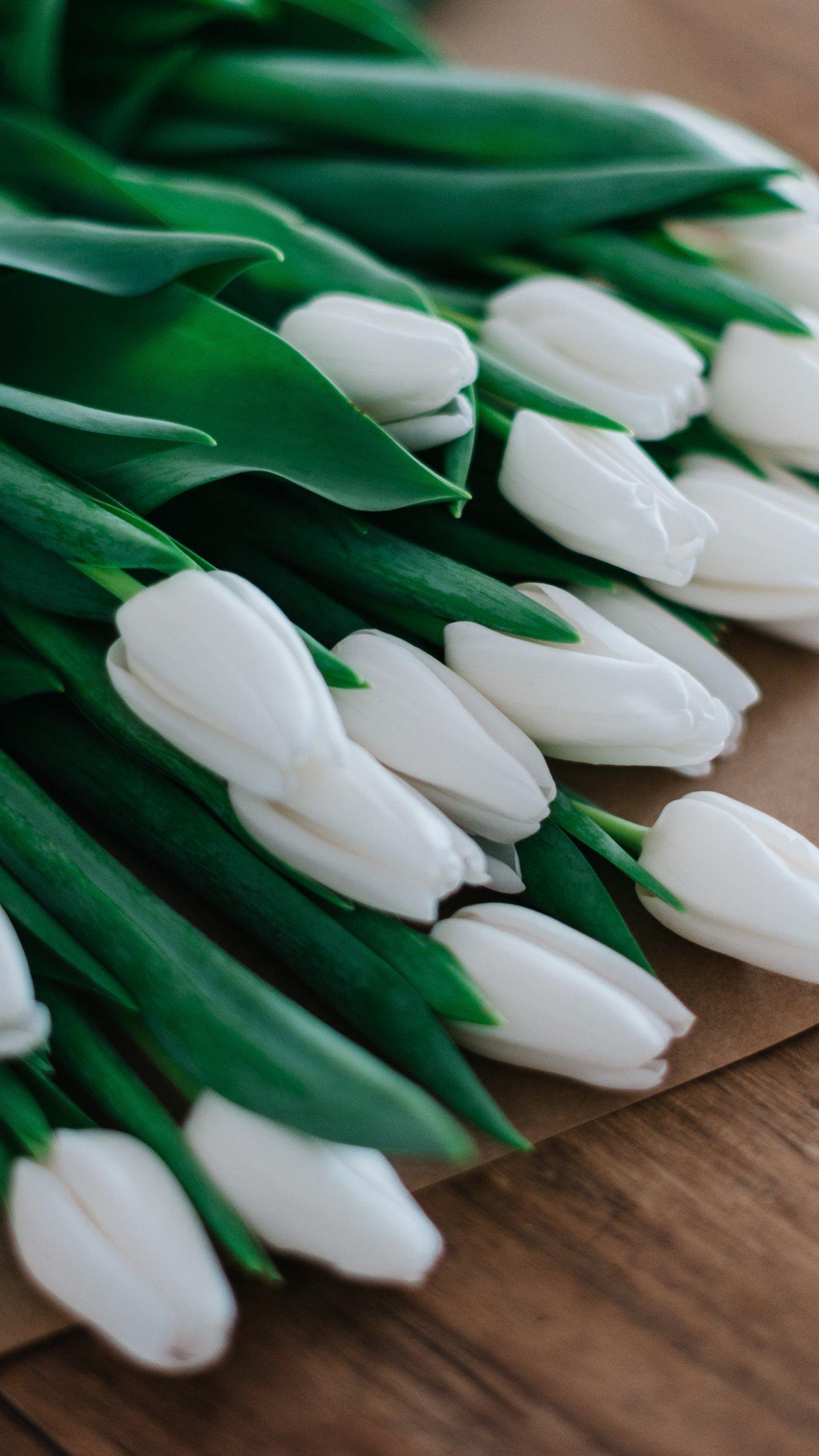 White Tulips Wallpaper, Android & Desktop Background