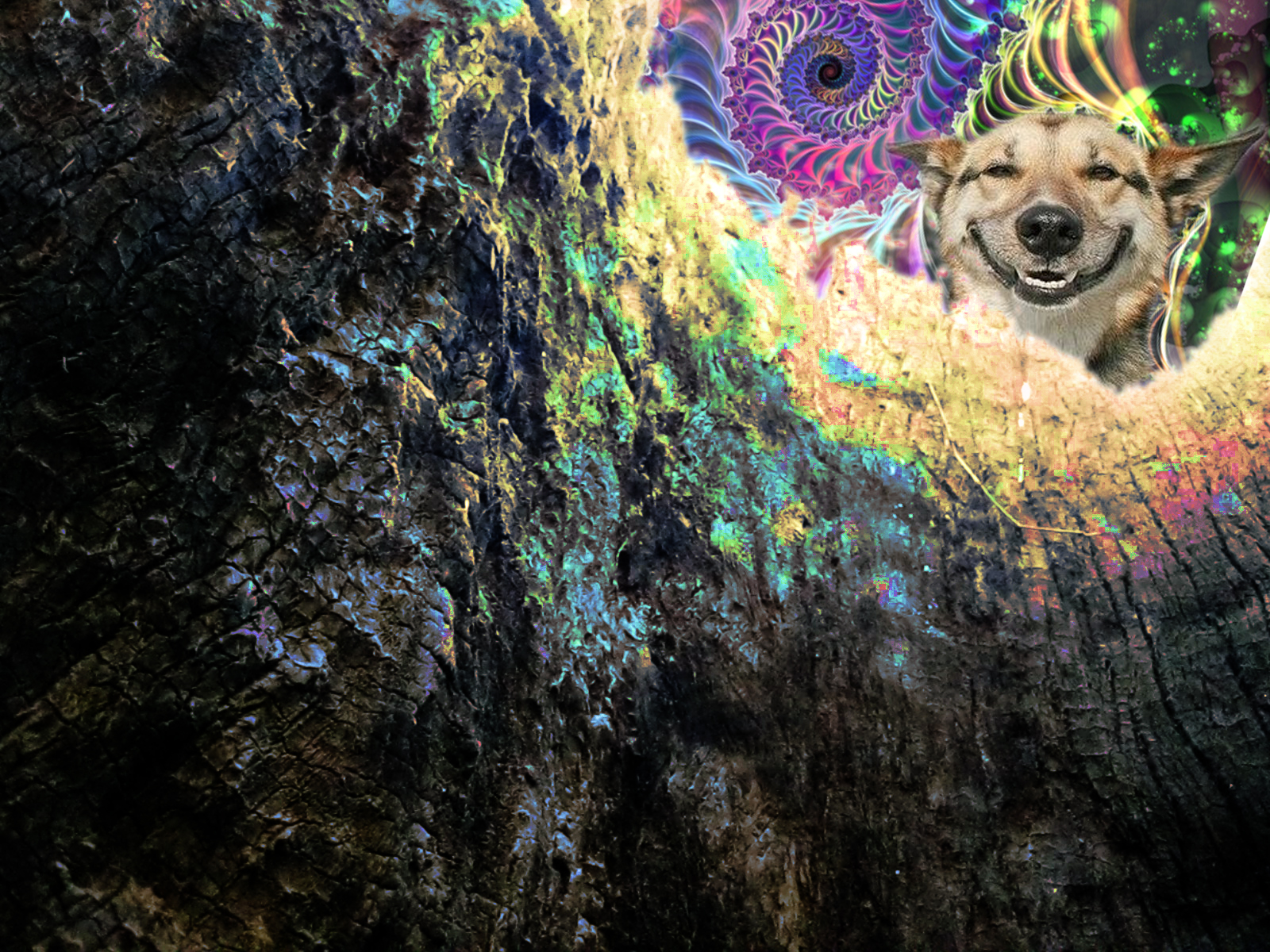 Stoner Tumblr Wallpapers Wallpaper Cave