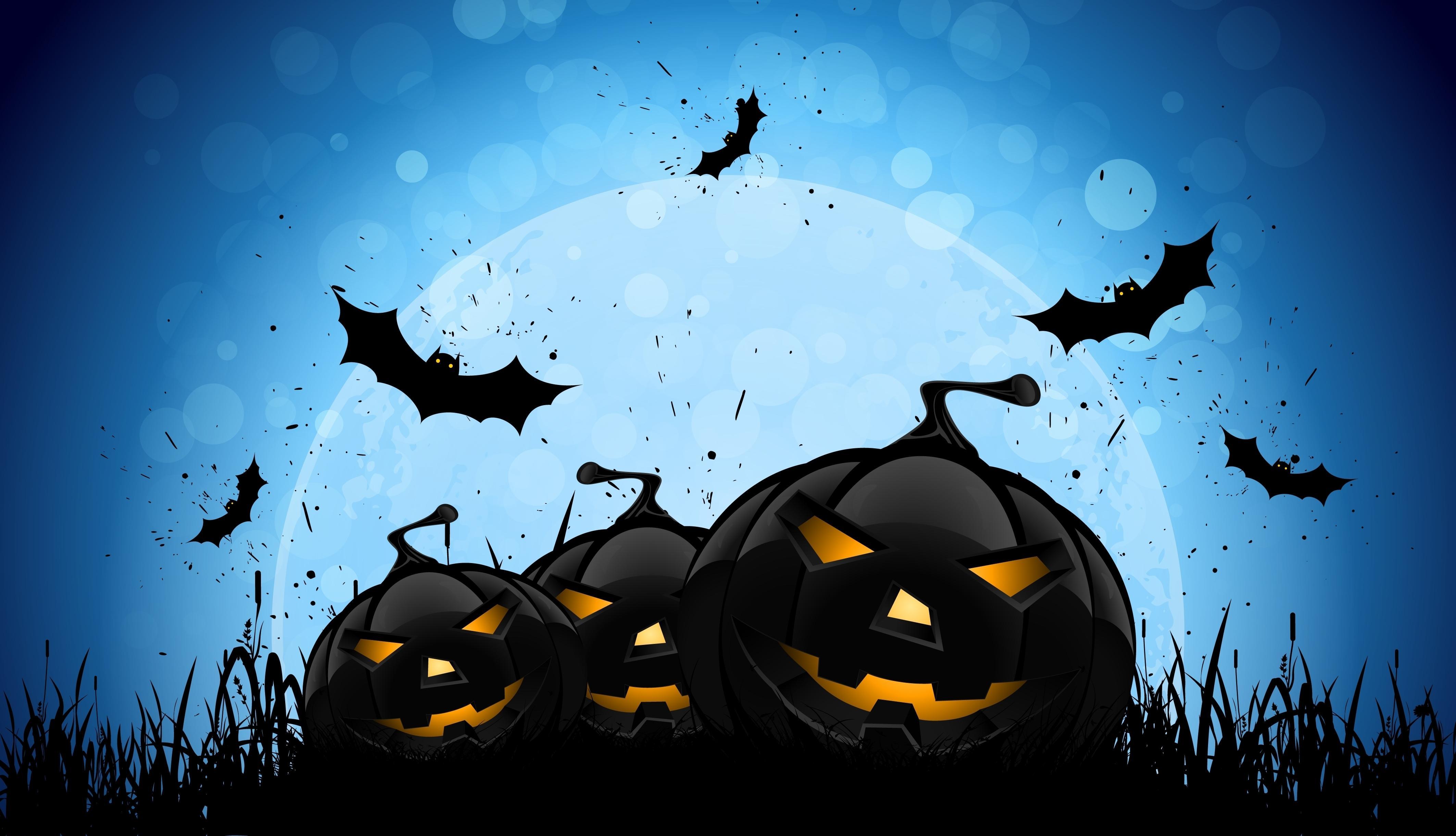 Halloween Bat 4k, HD Celebrations, 4k Wallpaper, Image