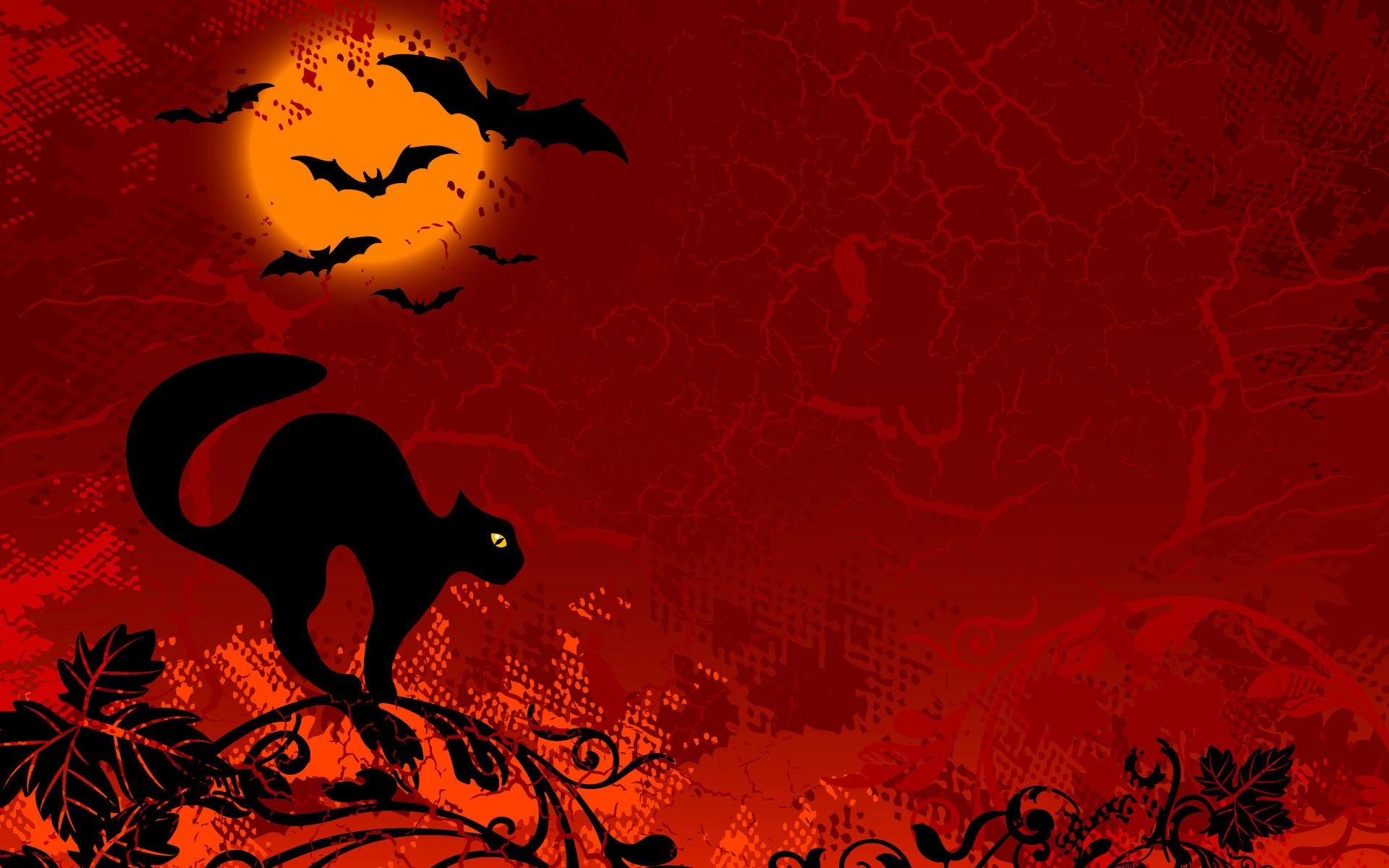 Halloween Cats Bats Background HD Wallpaper Amazing
