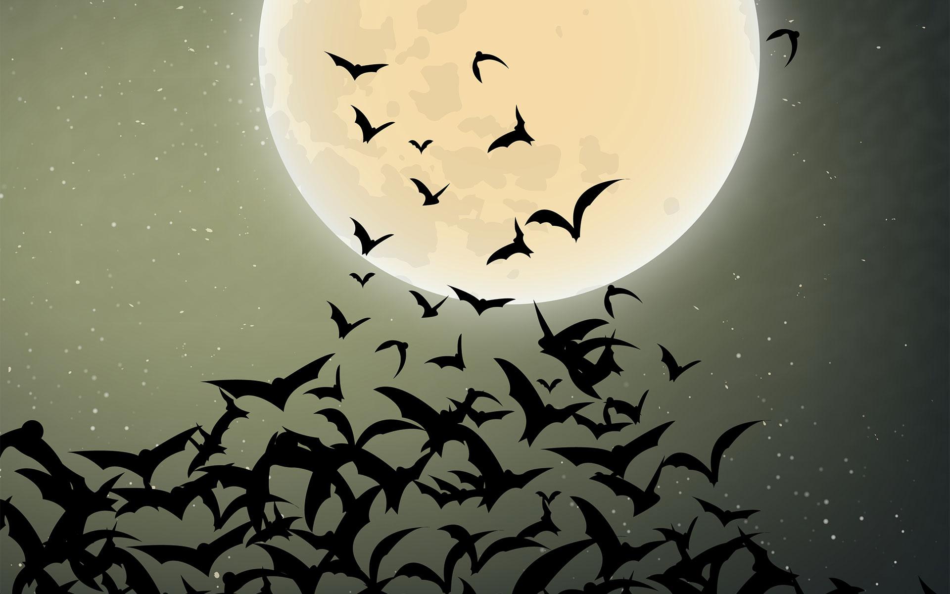 Halloween Bats Wallpapers Wallpaper Cave