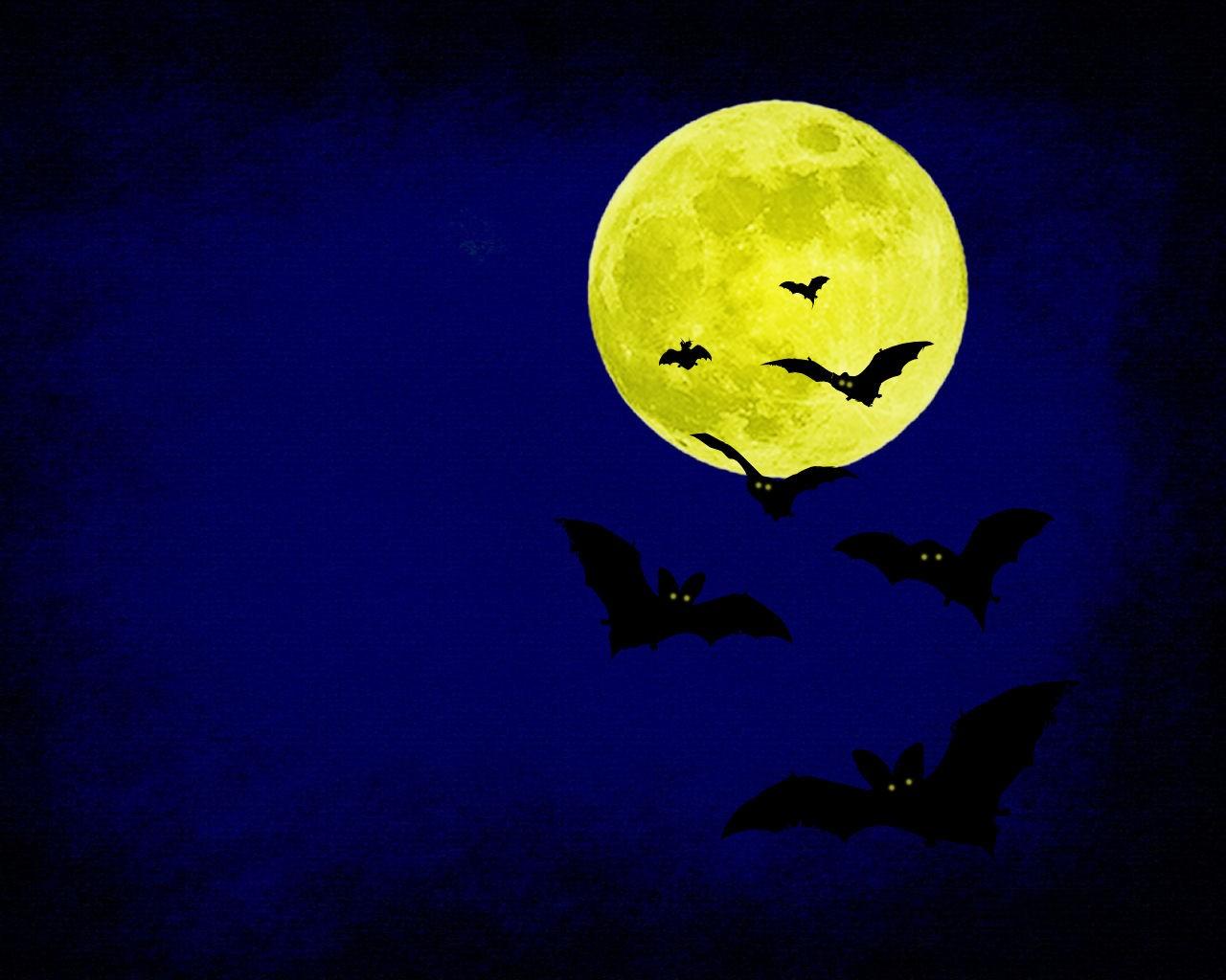 Scary Halloween 2012 HD Wallpaper. Pumpkins, Witches