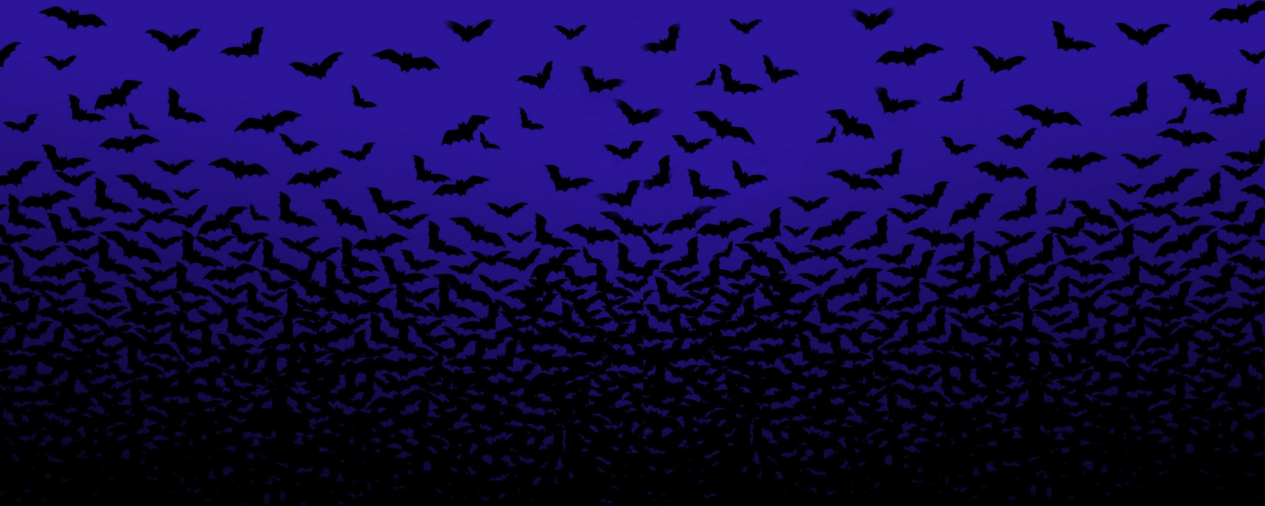 Bat Background. Bat Wallpaper