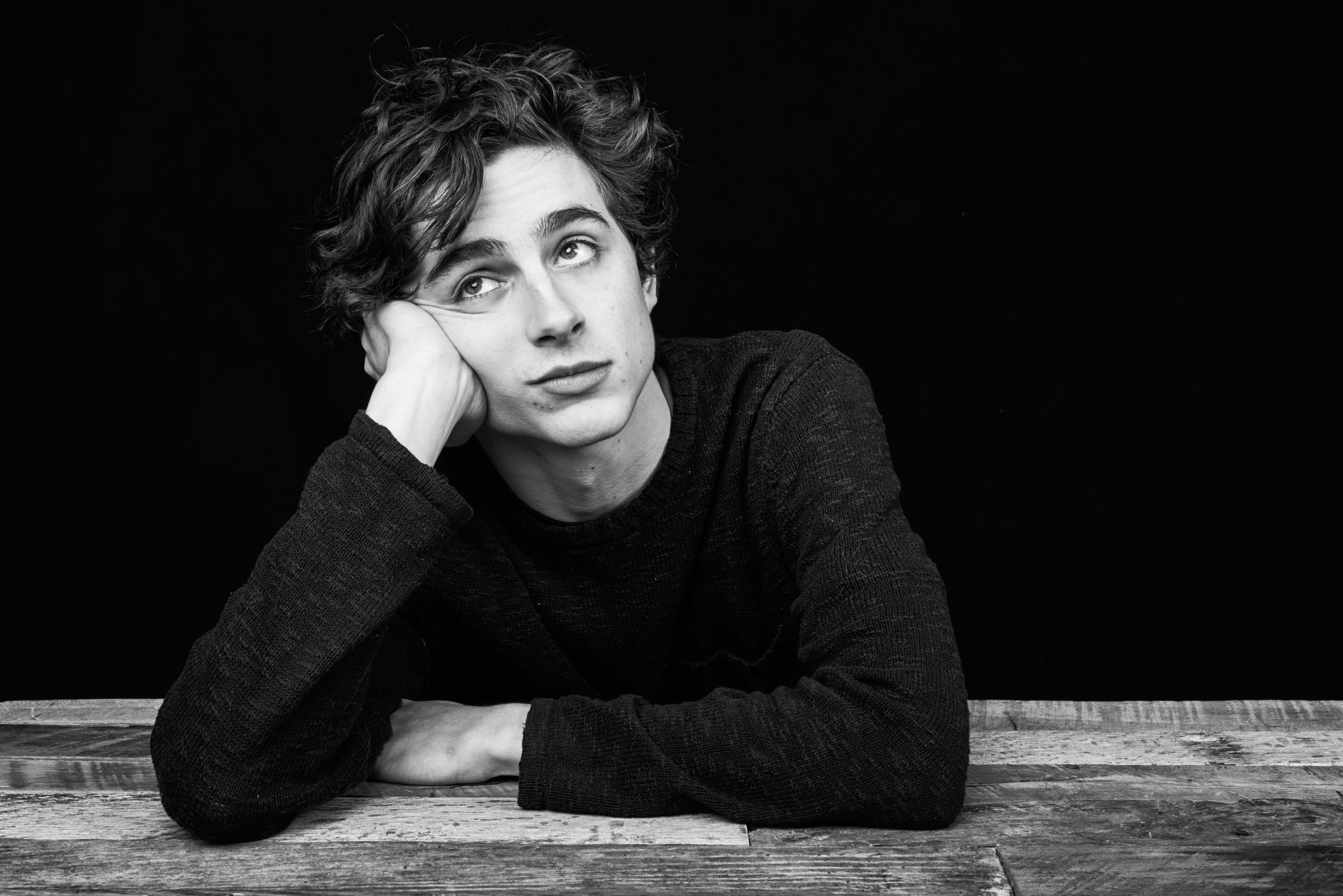 Timothée Chalamet Wallpaper High Quality