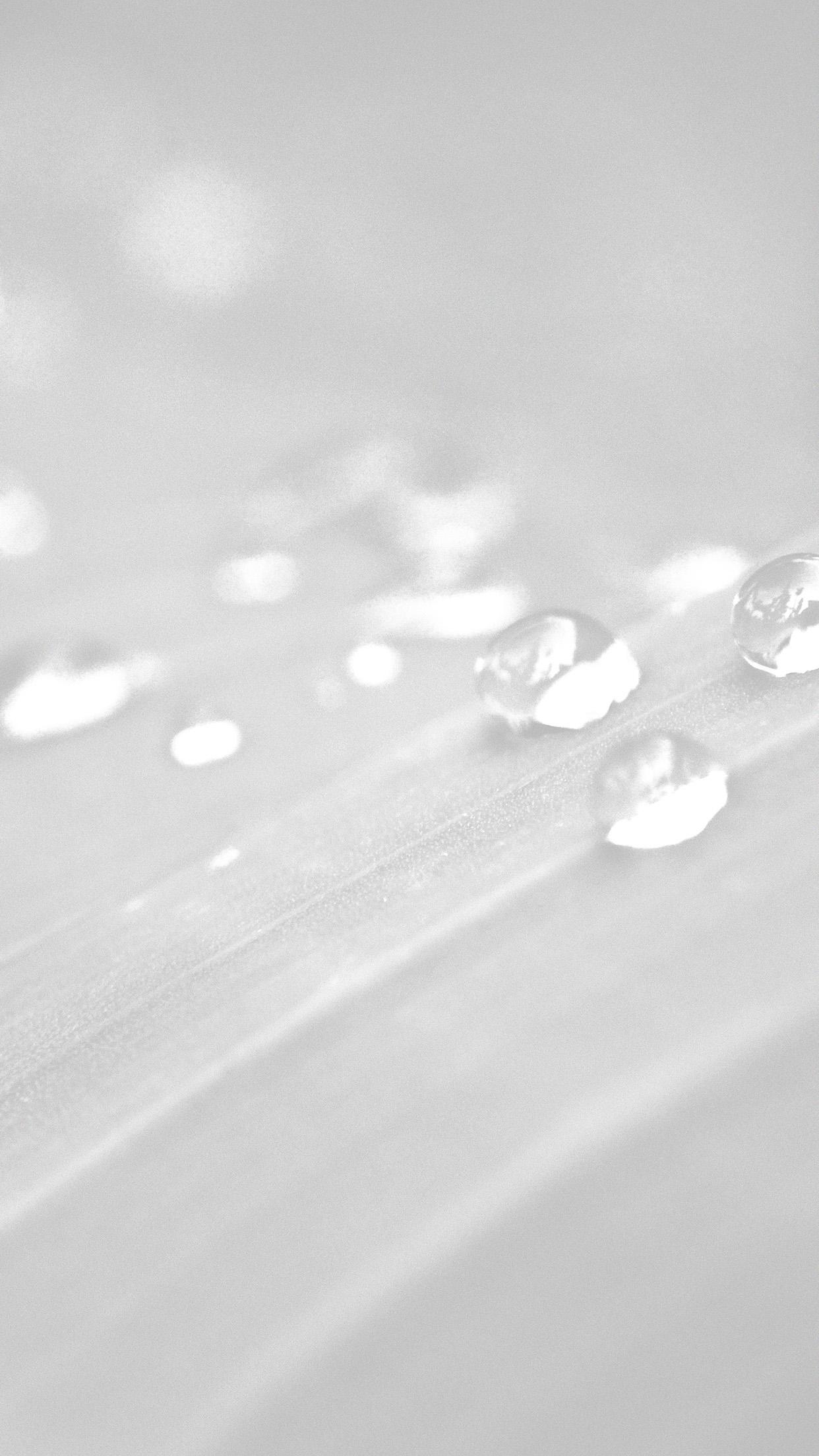 White Dew Drops Silver Light android wallpaper