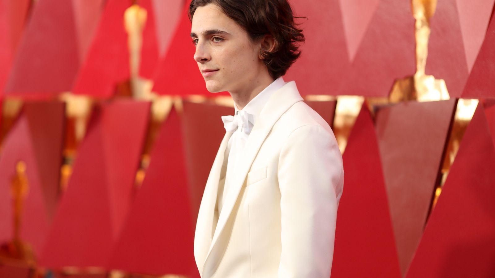 Netflix plays on Shakespeare with Timothée Chalamet in