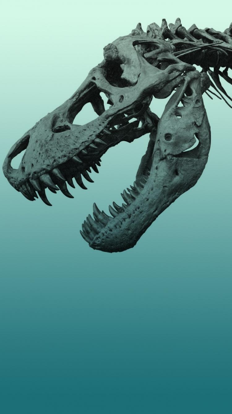 Animal Dinosaur (750x1334) Wallpaper