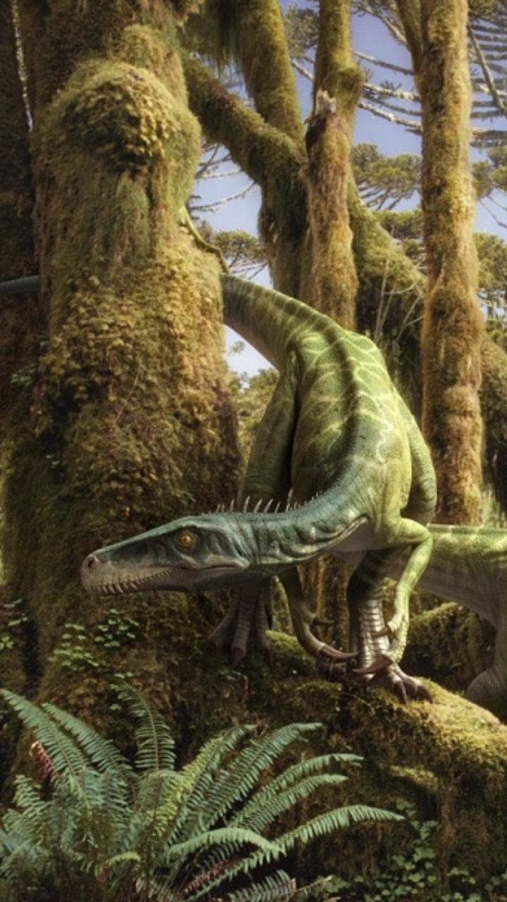 Animal Dinosaur (720x1280) Wallpaper