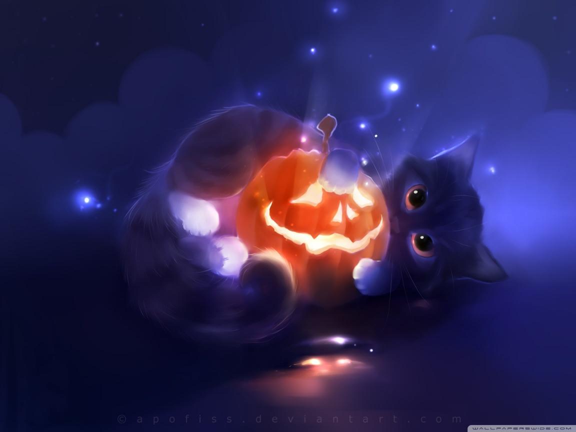 Kitty Playing with a Pumpkin ❤ 4K HD Desktop Wallpaper