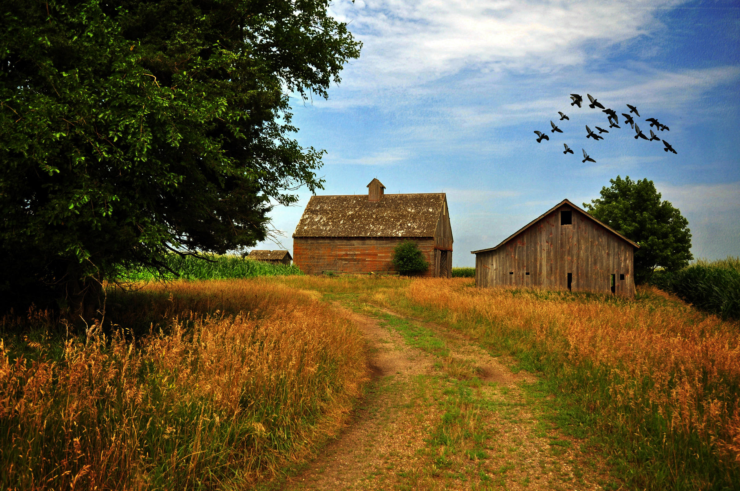 A Life in the Heartland: Dennis Keeney Reflects on Mid