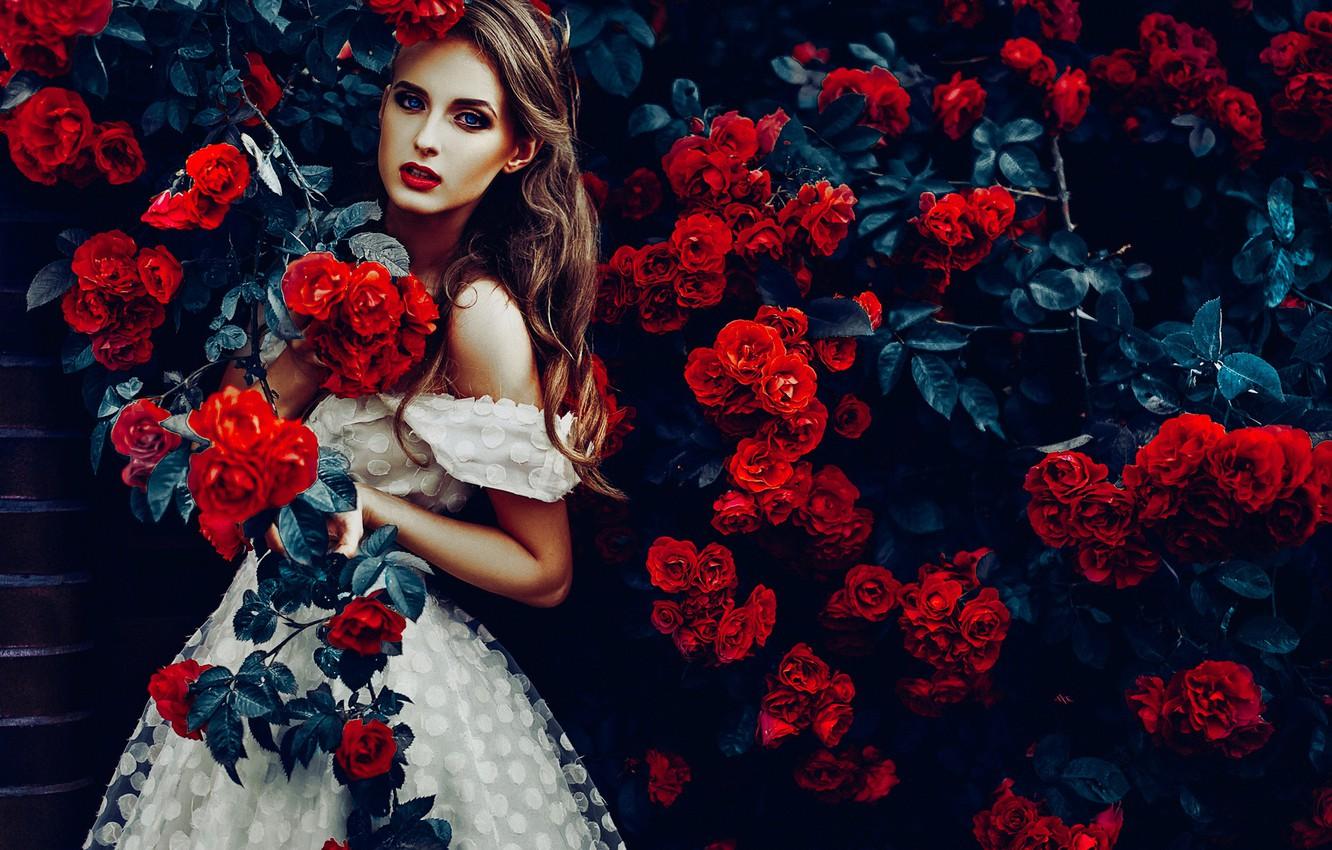 Wallpaper girl, flowers, roses, dress, rose Bush, Ruslan