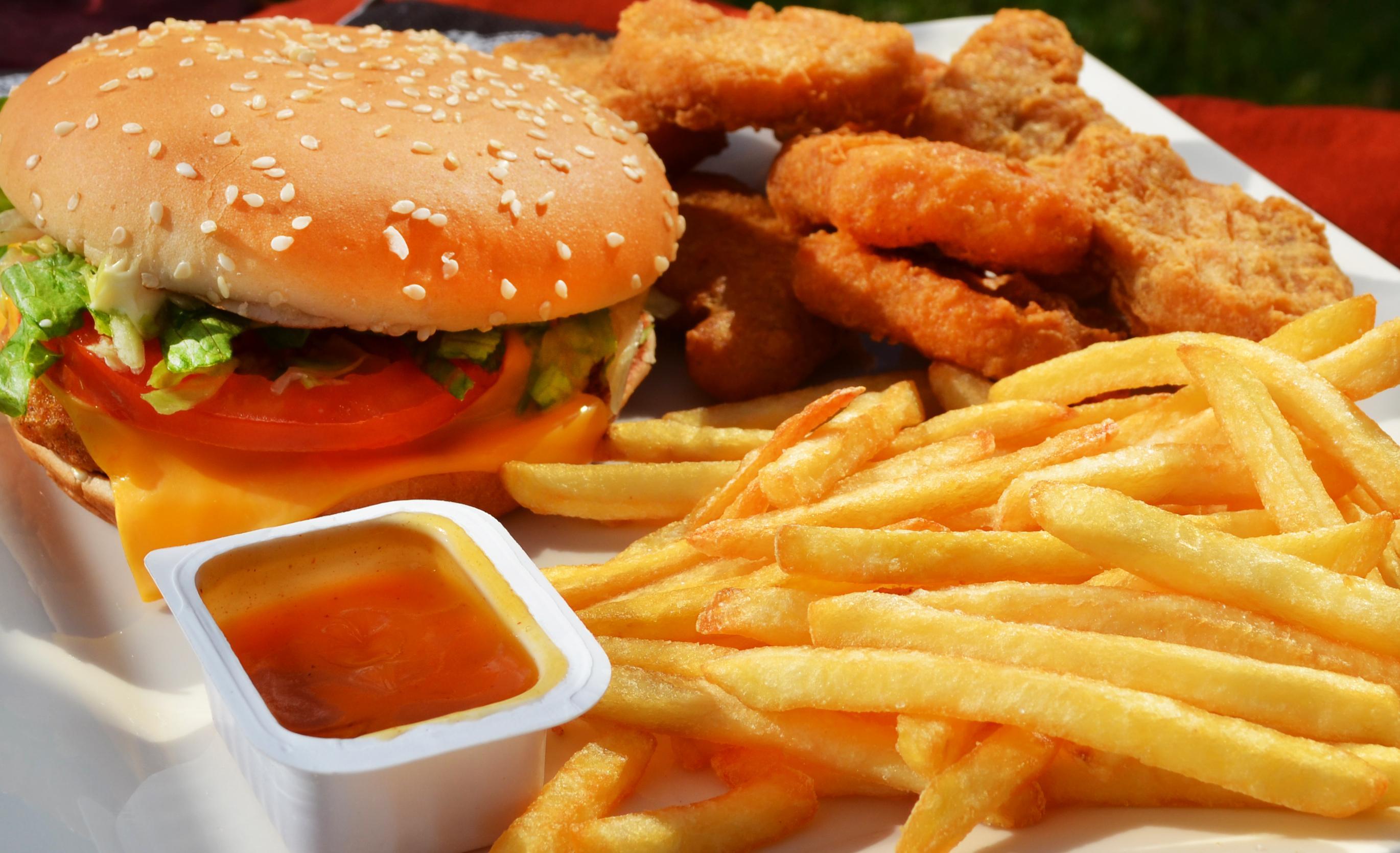 Fast Food on a Tray # 2740x1670. All For Desktop
