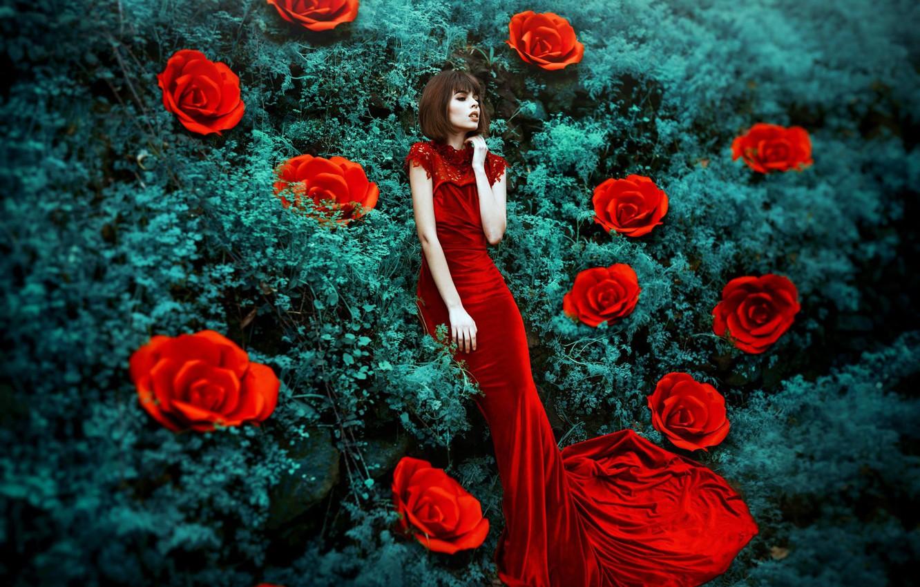 Wallpaper girl, flowers, style, mood, roses, red dress