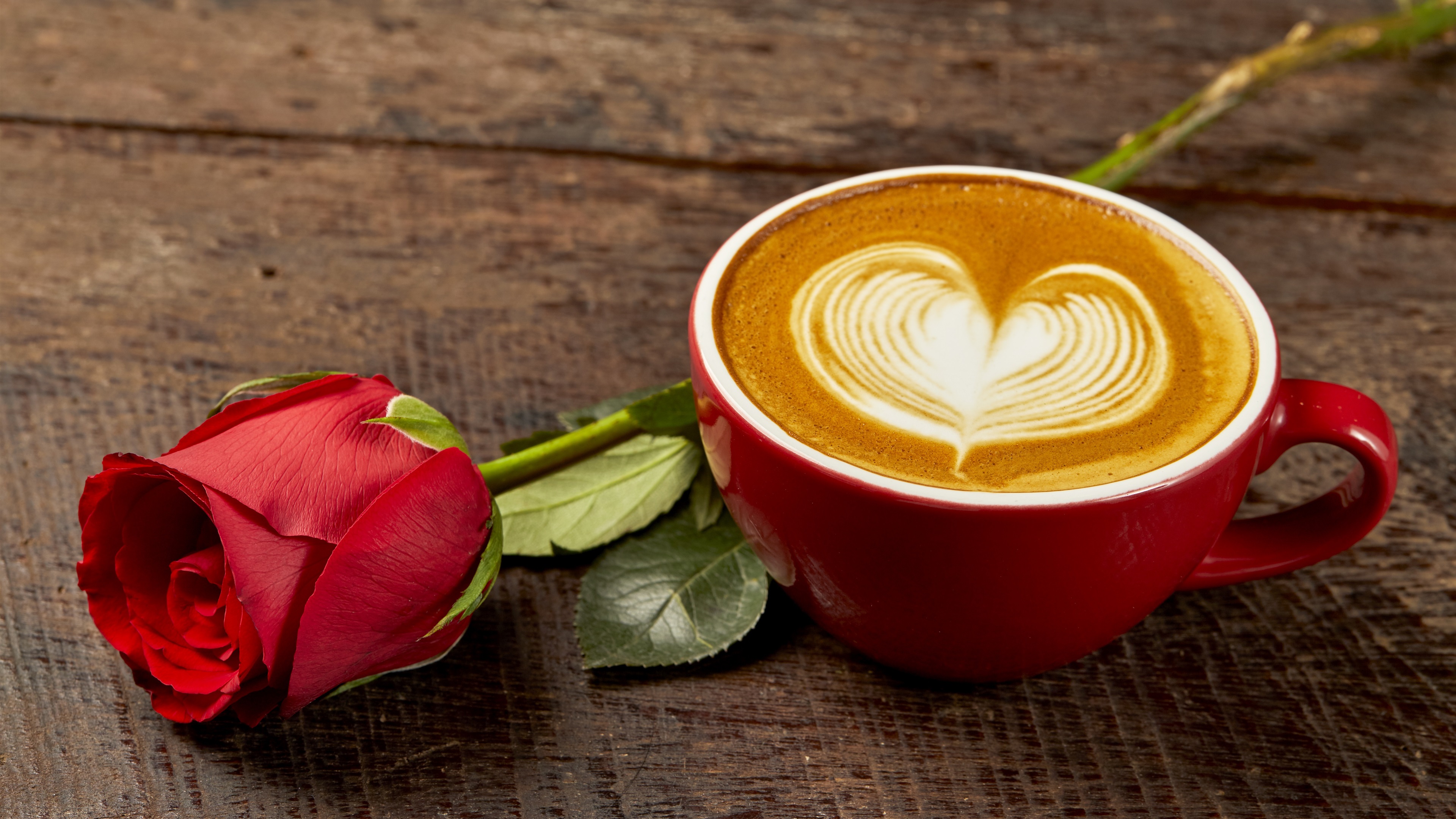 Wallpaper Red rose and one cup of coffee, love heart