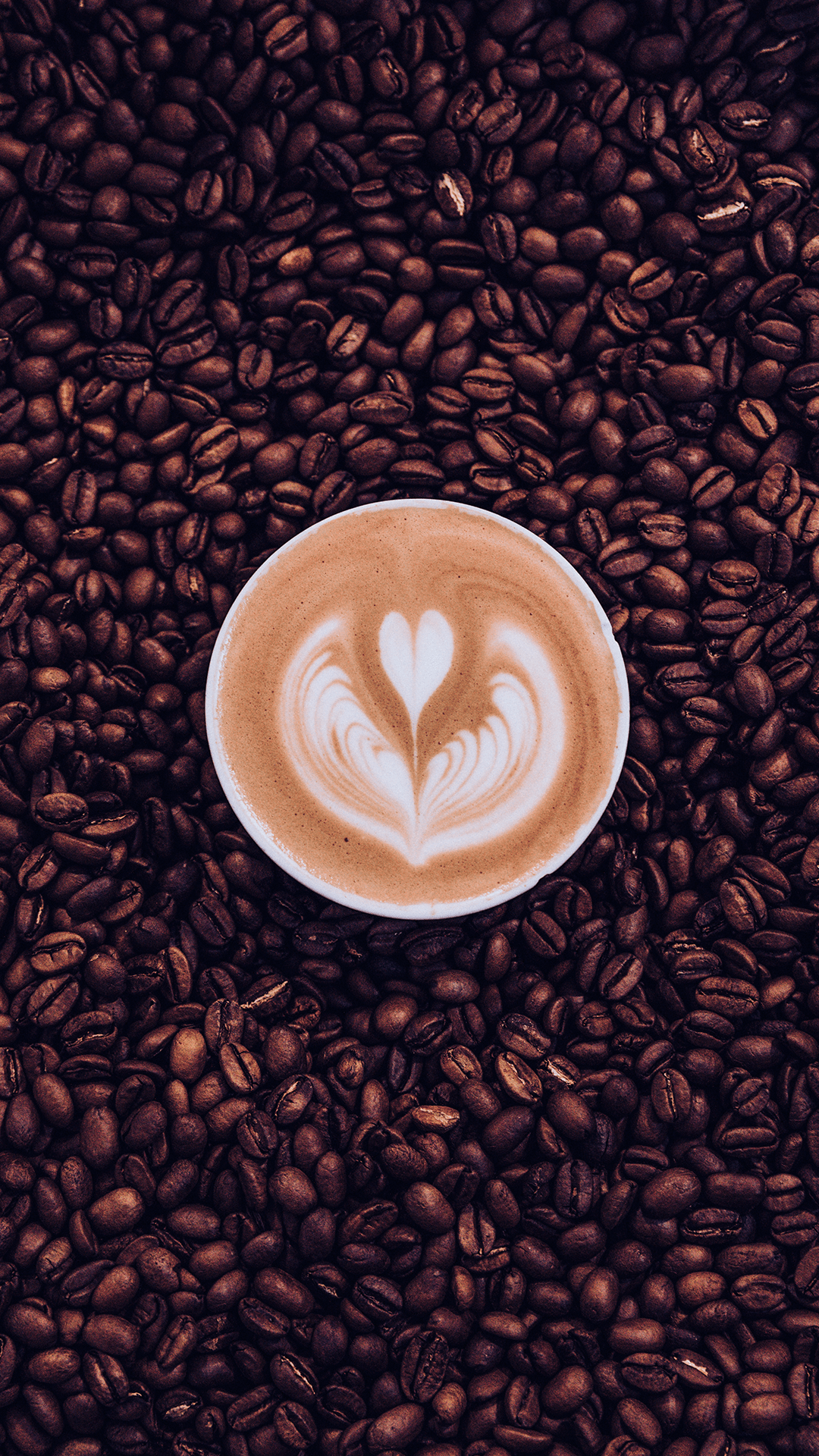 The Life and Love of a Coffee Bean (Wallpaper)