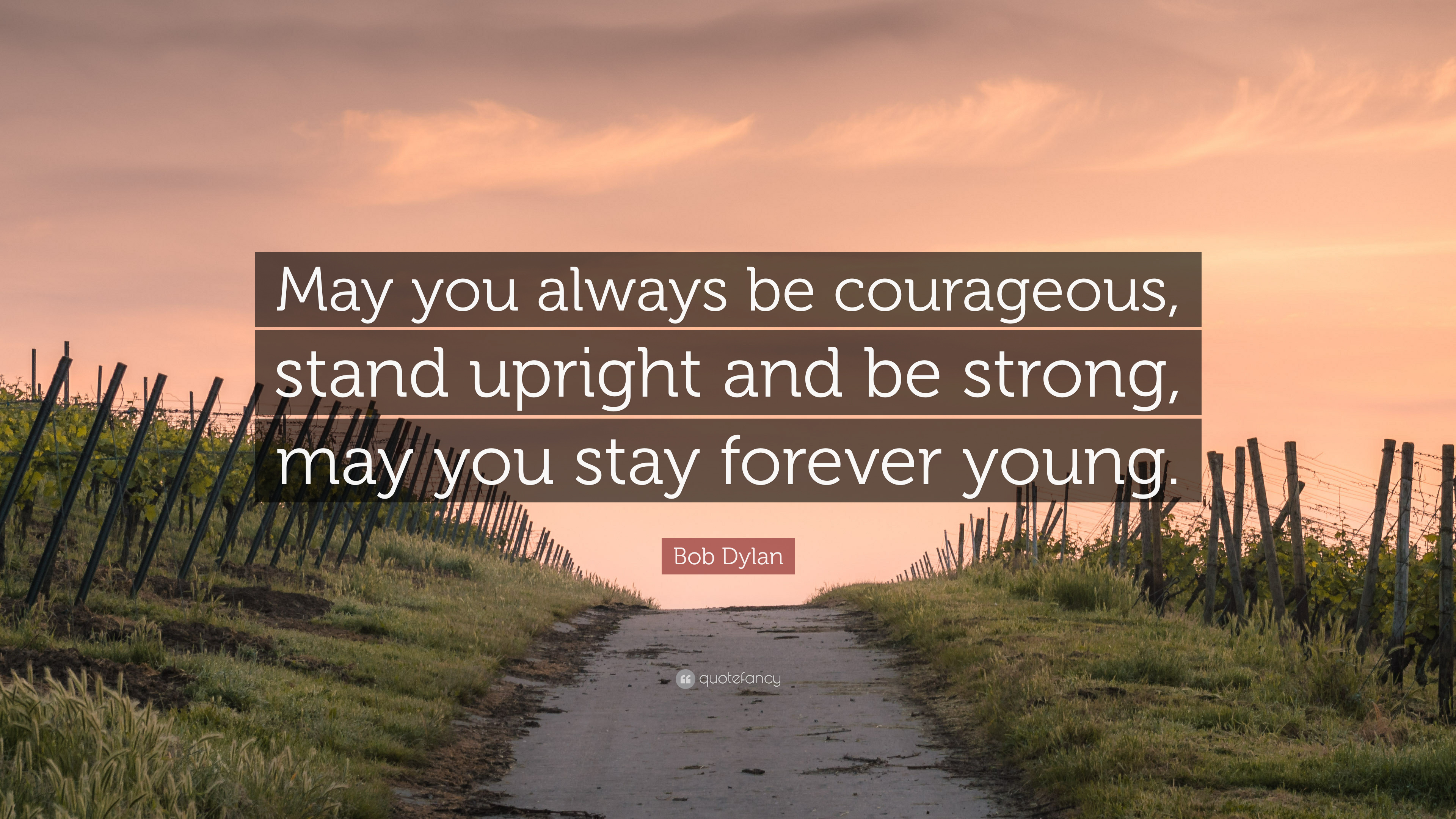 Bob Dylan Quote: “May you always be courageous, stand