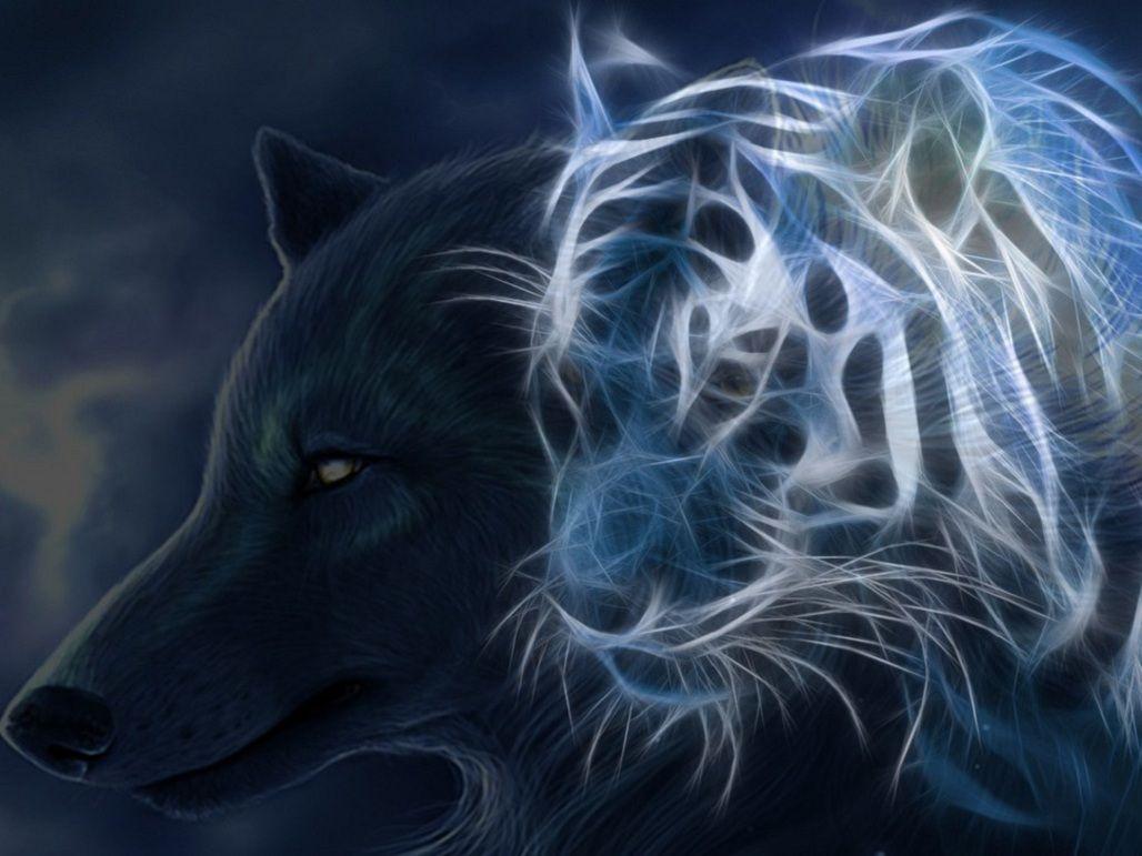 Wolf Animal Totem Widescreen 2 HD Wallpapers