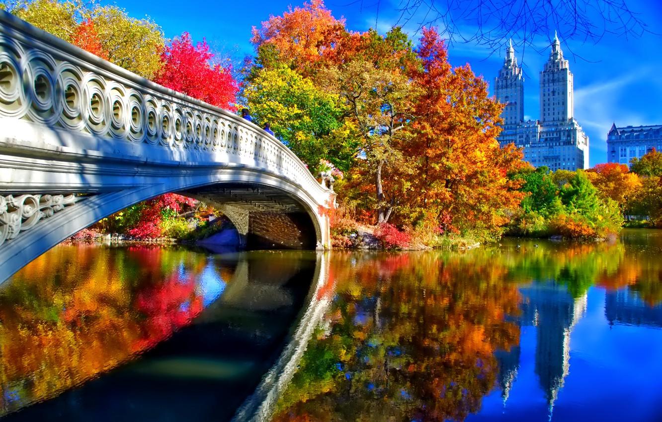 Wallpaper autumn, the sky, leaves, trees, landscape, bridge, New York, USA, Central Park image for desktop, section город