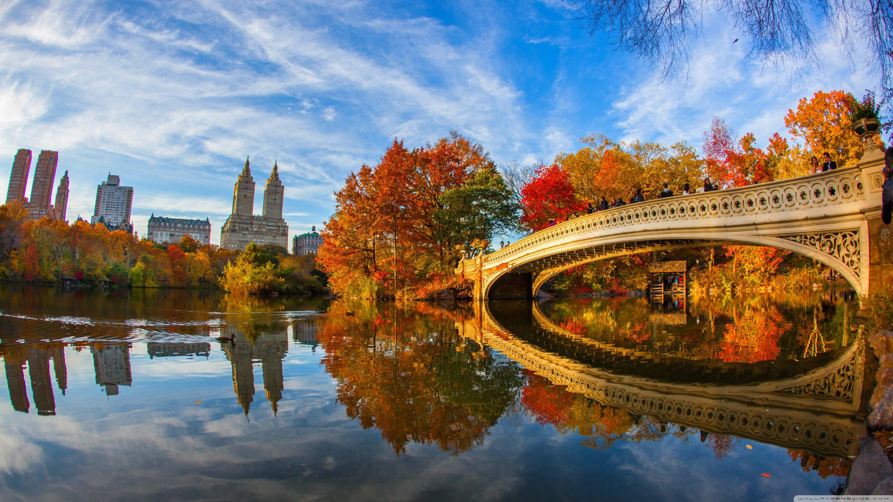 Fall Foliage in Central Park New York City Ultra HD Desktop Background Wallpaper for 4K UHD TV, Widescreen & UltraWide Desktop & Laptop, Multi Display, Dual Monitor, Tablet