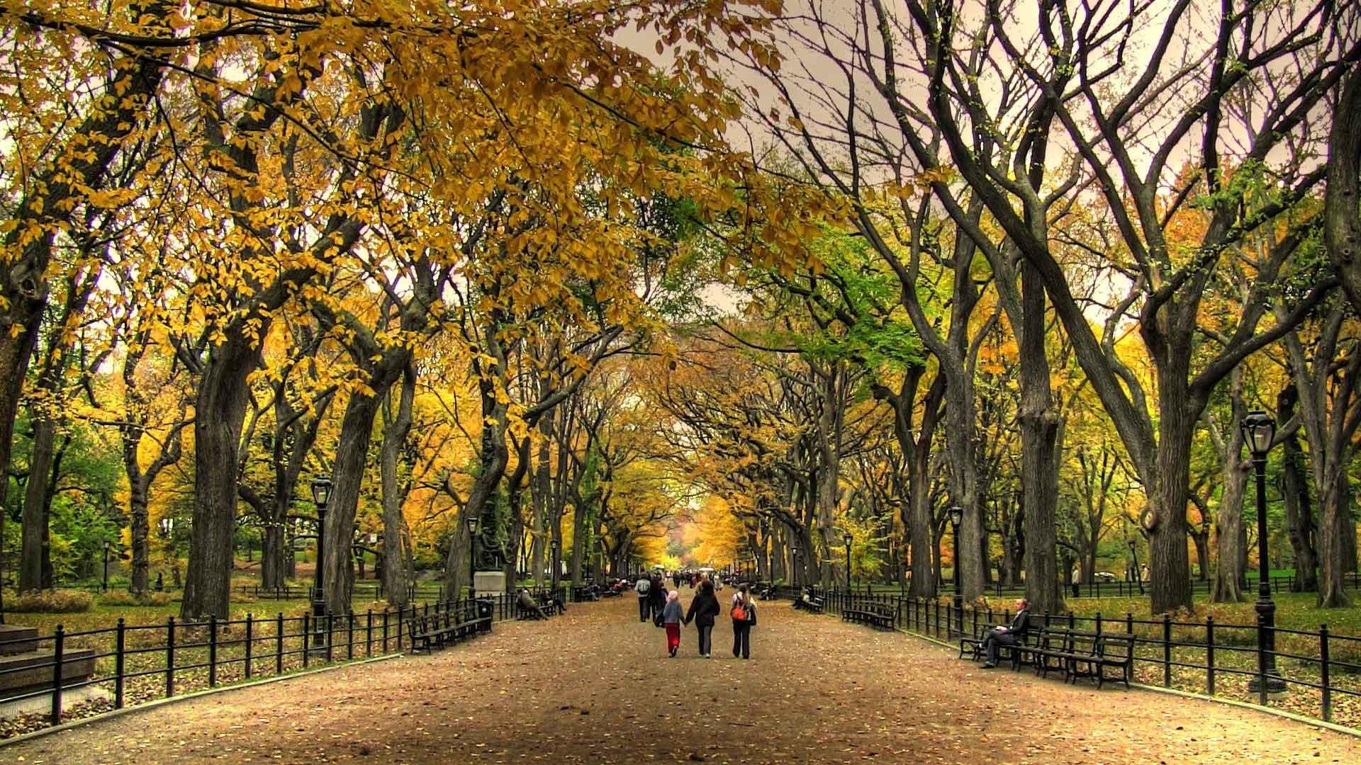 Central Park Wallpaper