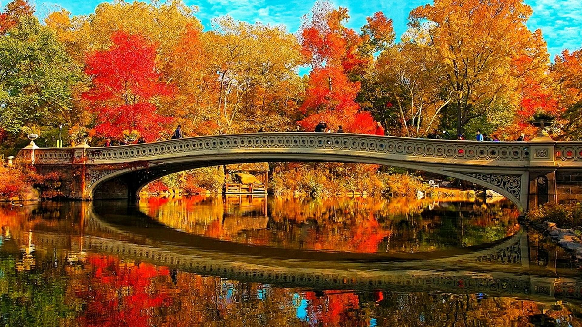 Central Park Wallpaper 18 X 1080