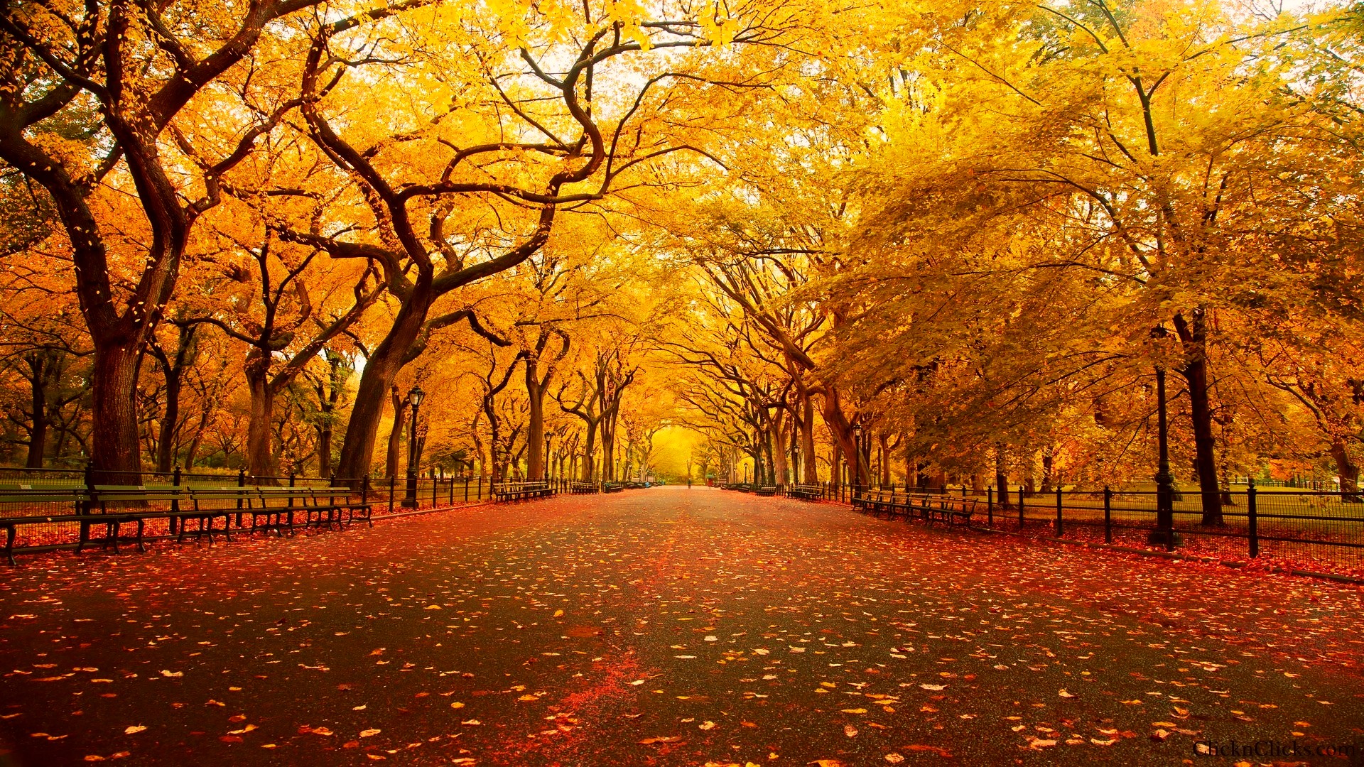 Autumn in Central Park New York City. Central Park New York
