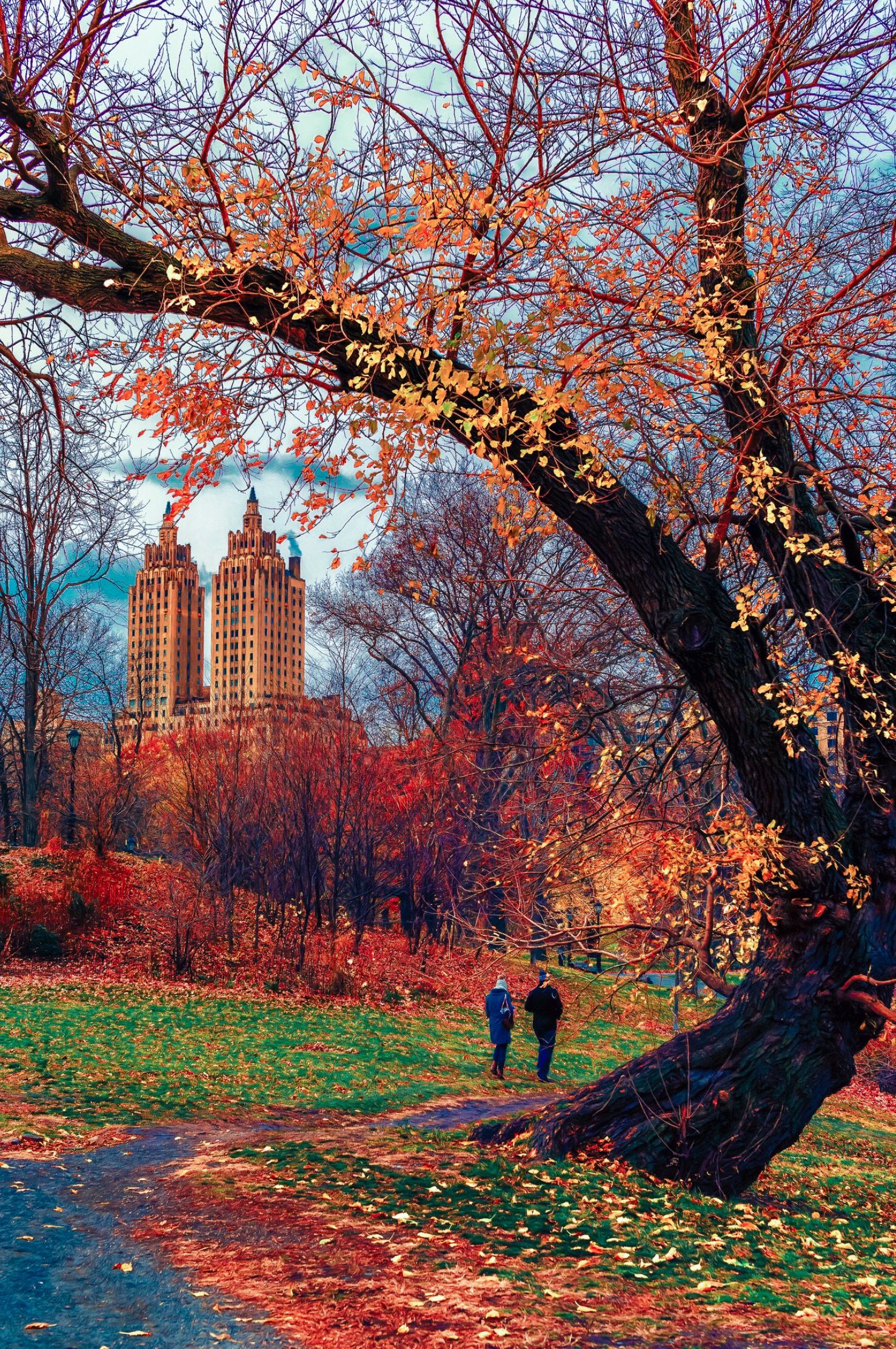 December in Central Park. iPhone Wallpaper. Autumn