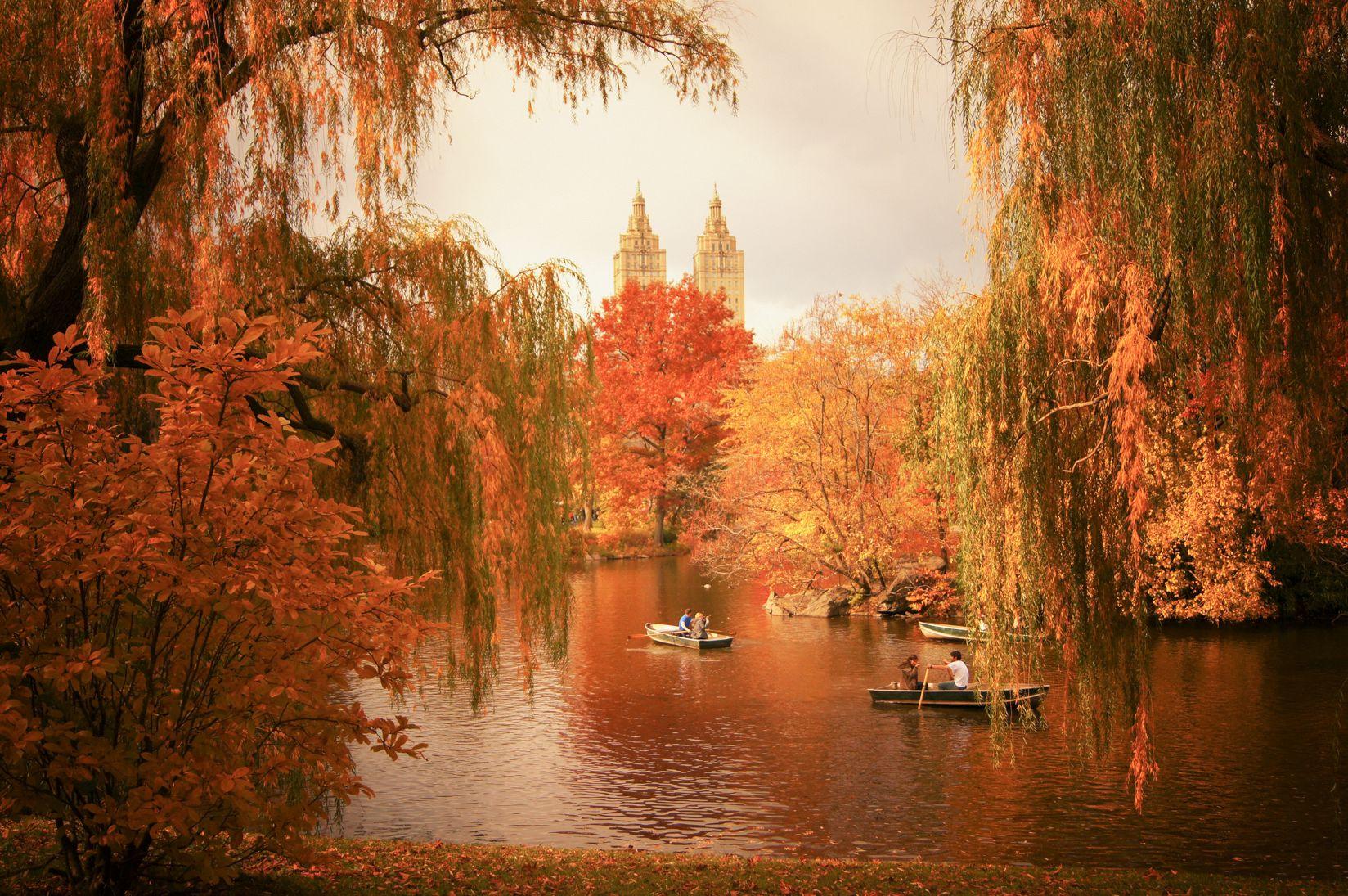 Autumn in New York City in 24 Image
