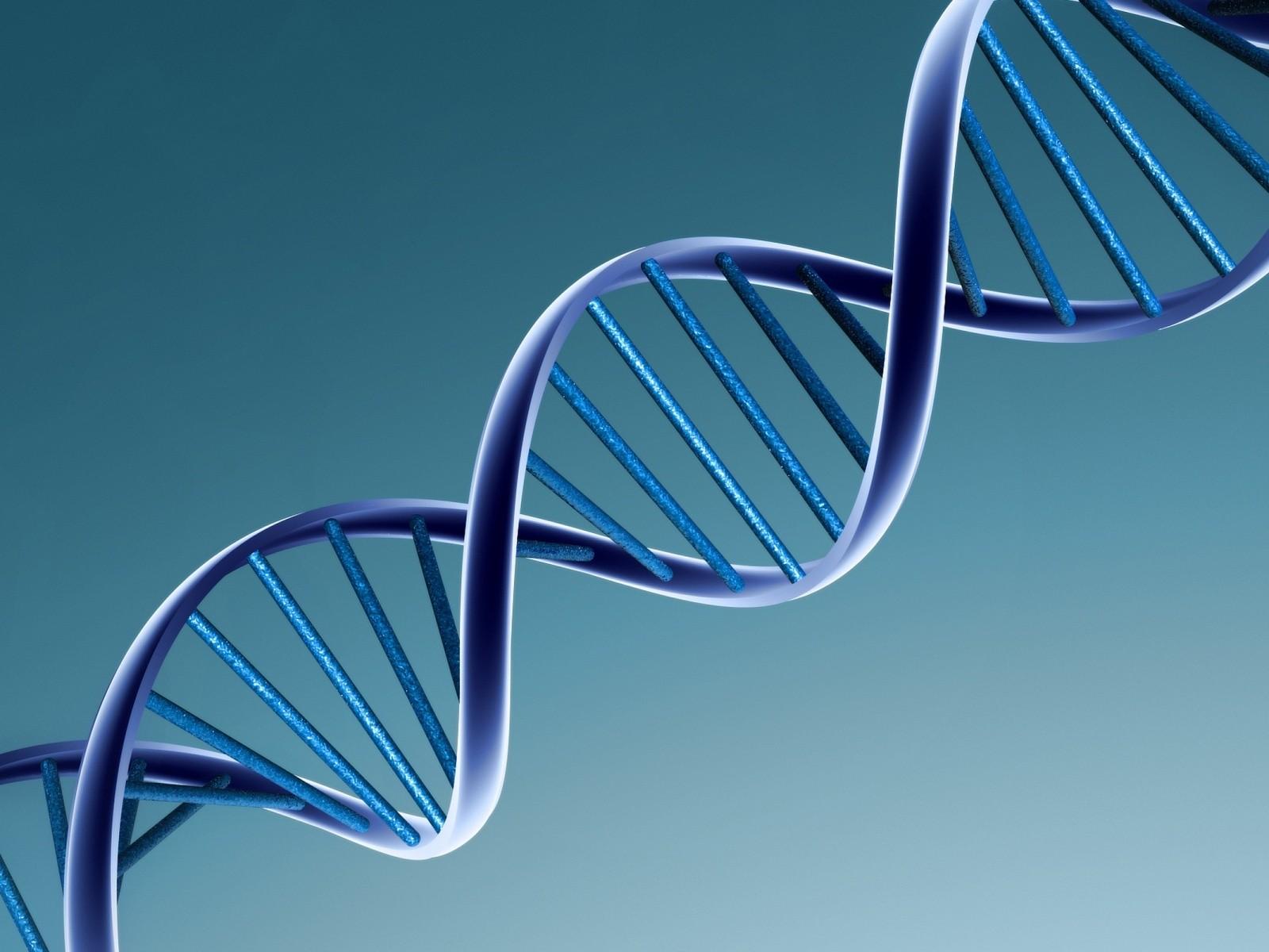 What DNA Paternity Testing Can (and Can't) Do for You