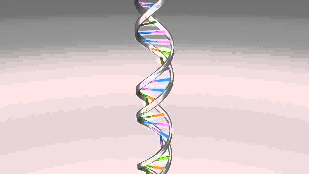 DNA Animated Wallpaper