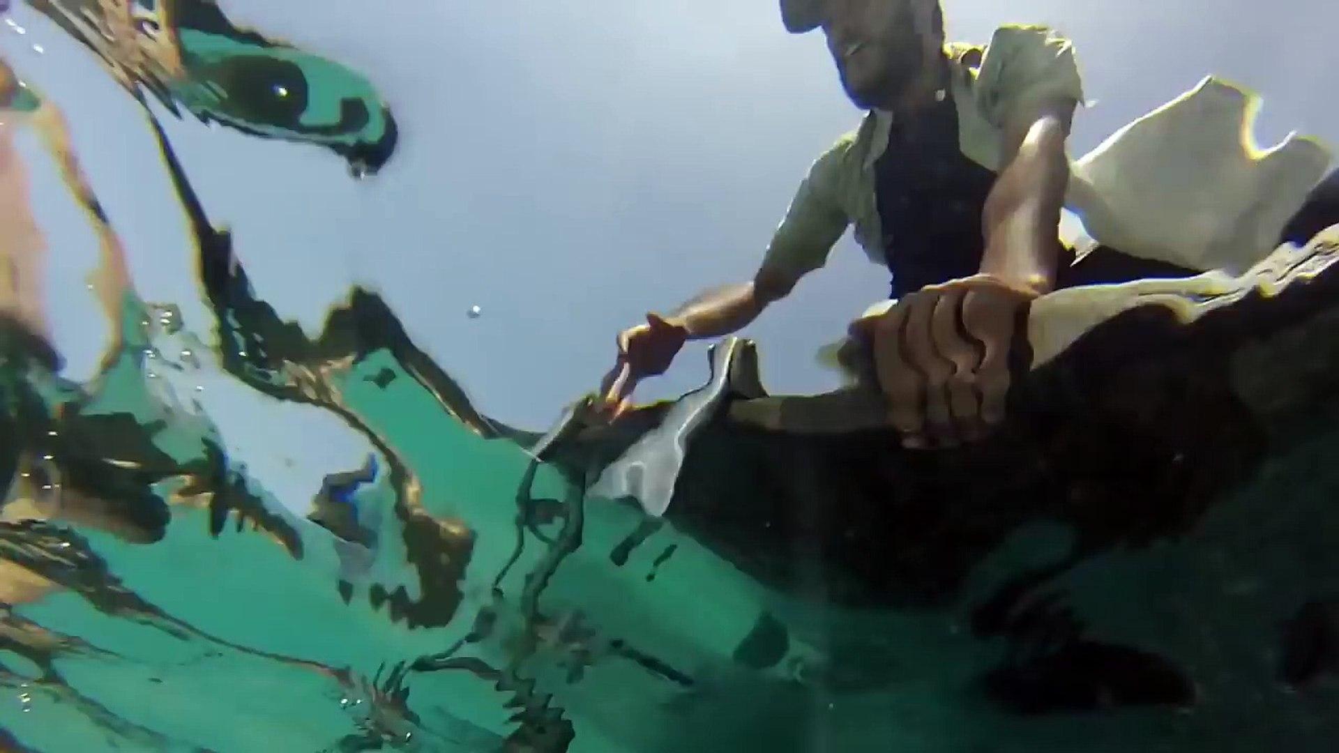 Sharktopus vs. Whalewolf Trailer