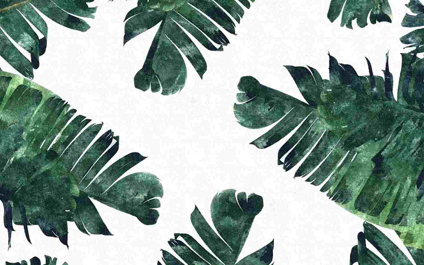 Plant Aesthetic Desktop Wallpaper_hd wallpaper_download free