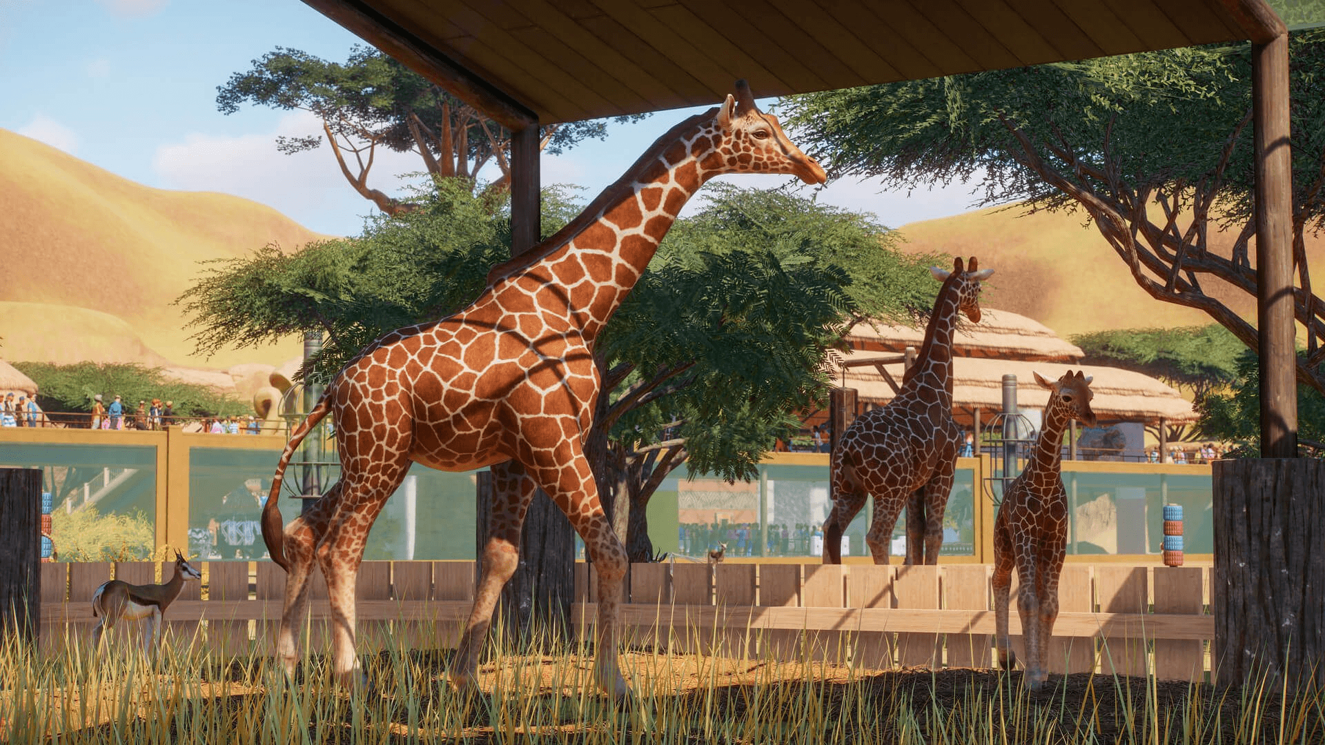 New Animals on latest Planet Zoo Screenshots