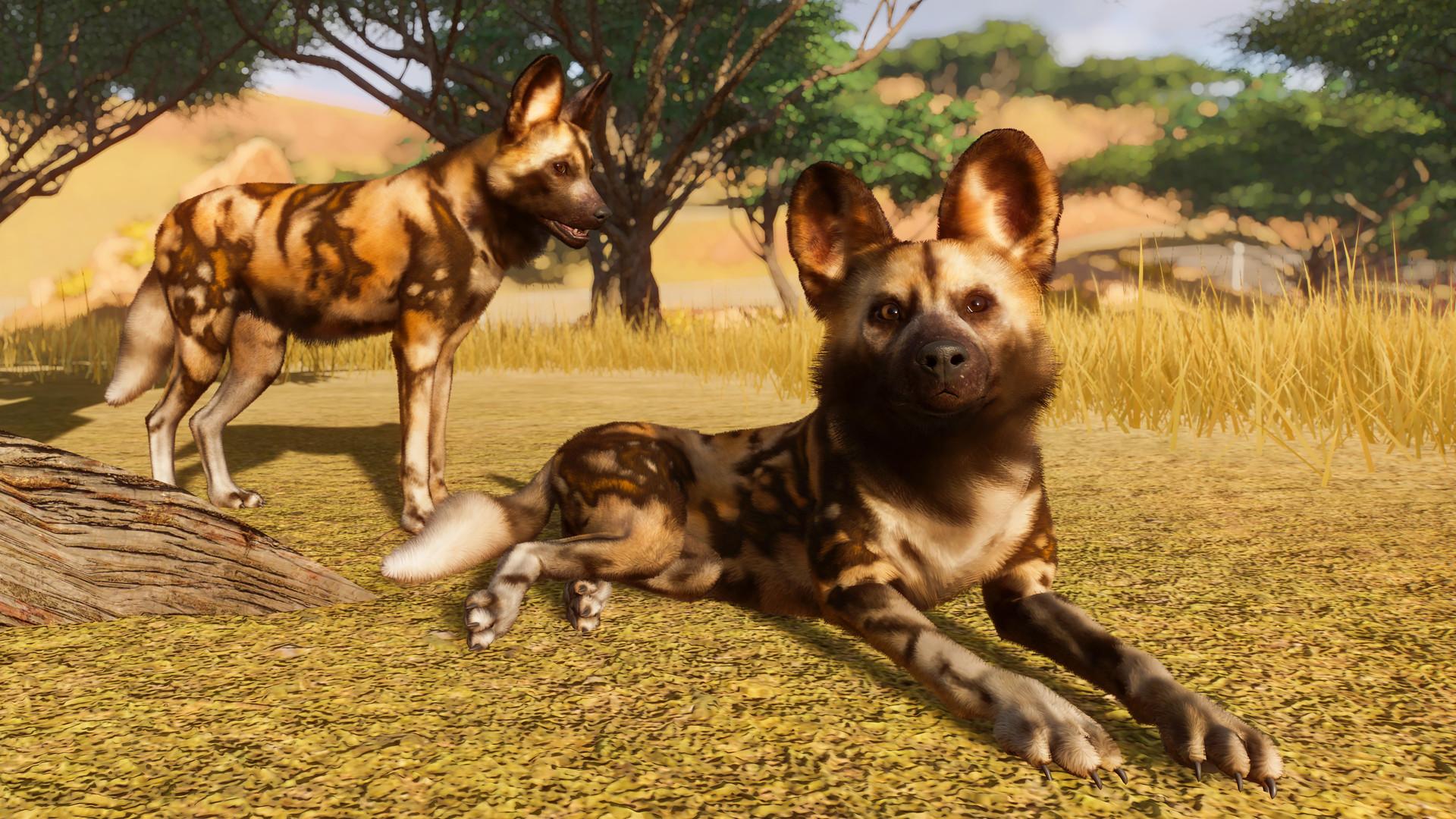 NEW HD PLANET ZOO OFFICIAL IMAGES (NEW ANIMALS)