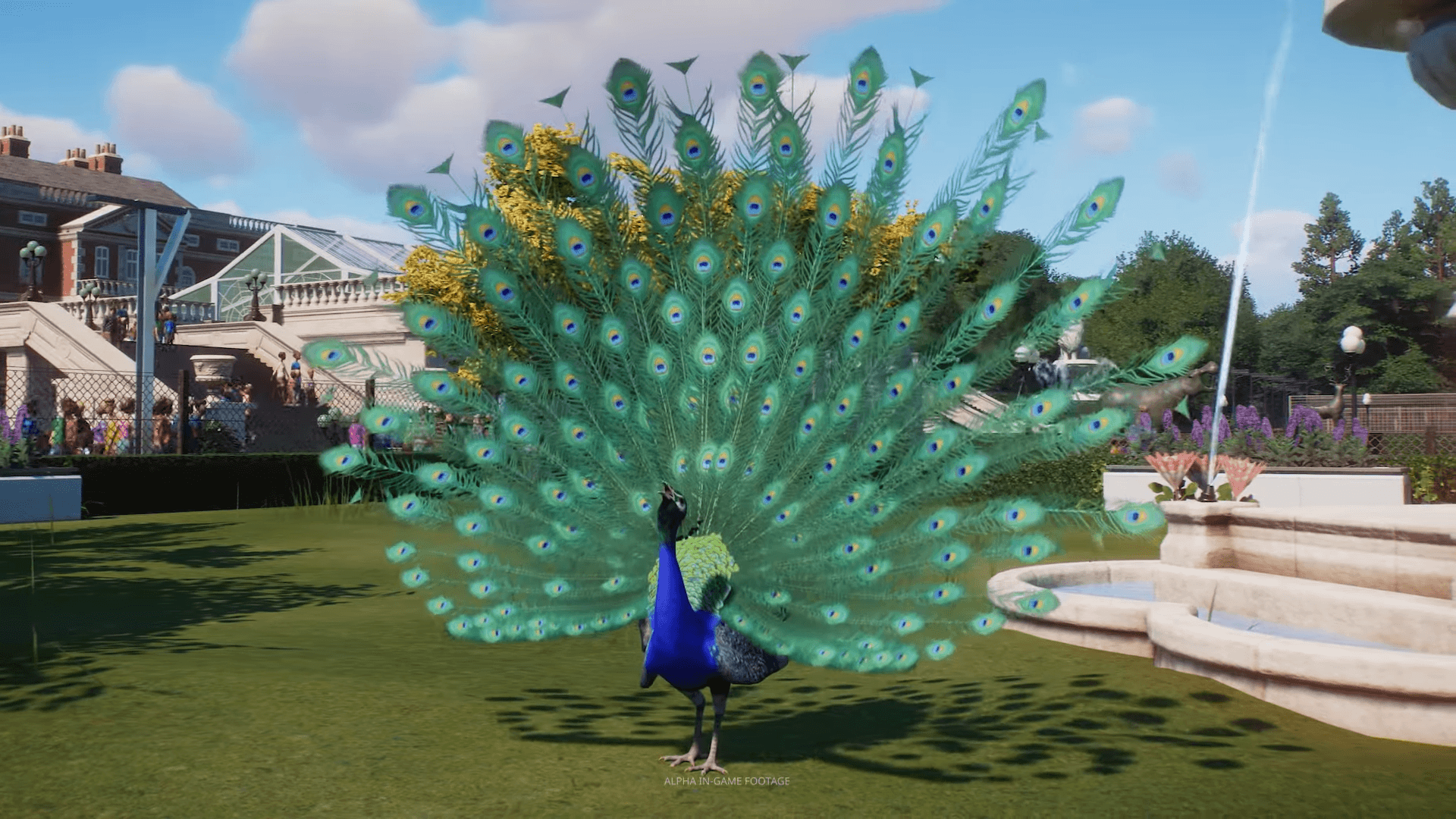 Indian Peafowl from The Making of Planet Zoo