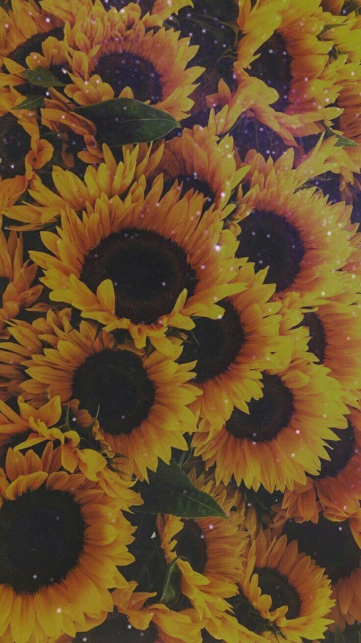 unifrankie #yellowflowerswallpaperiphone