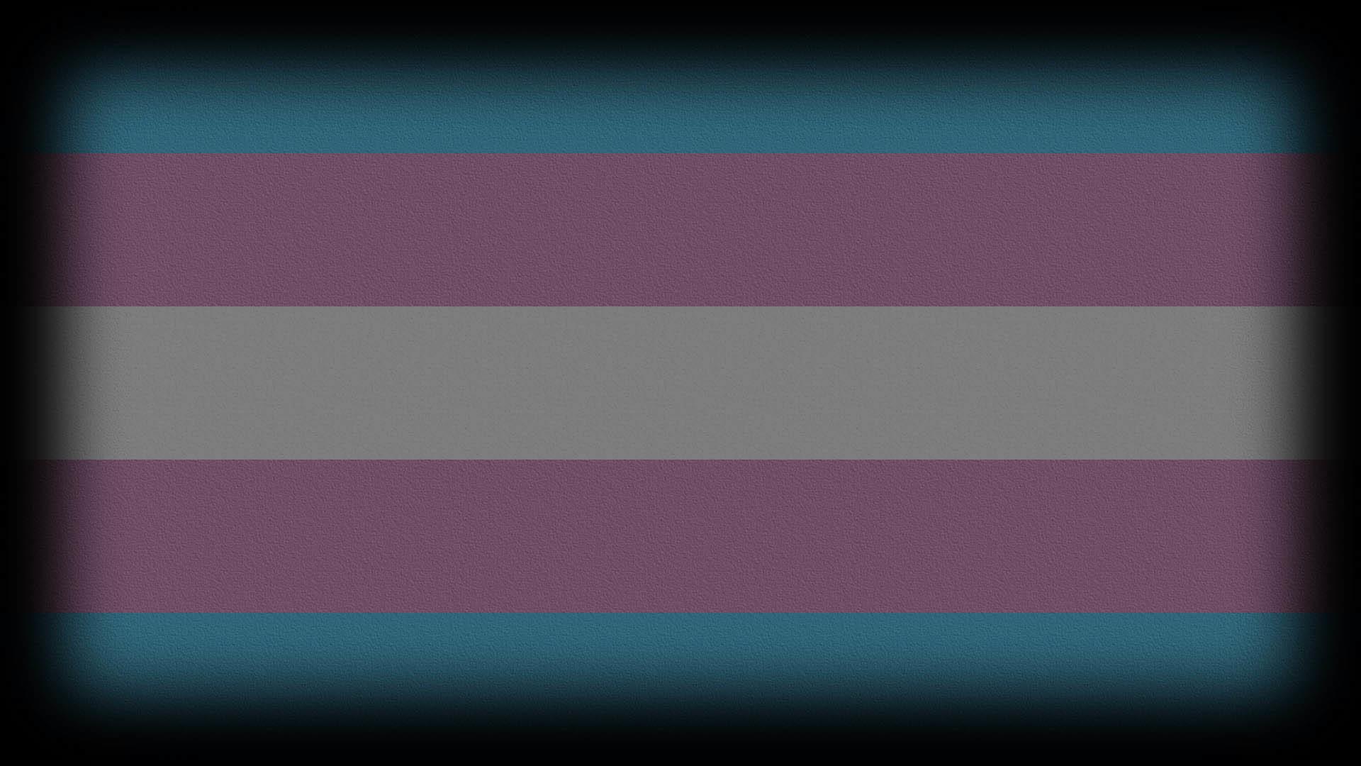 Transgender Pride Wallpaper