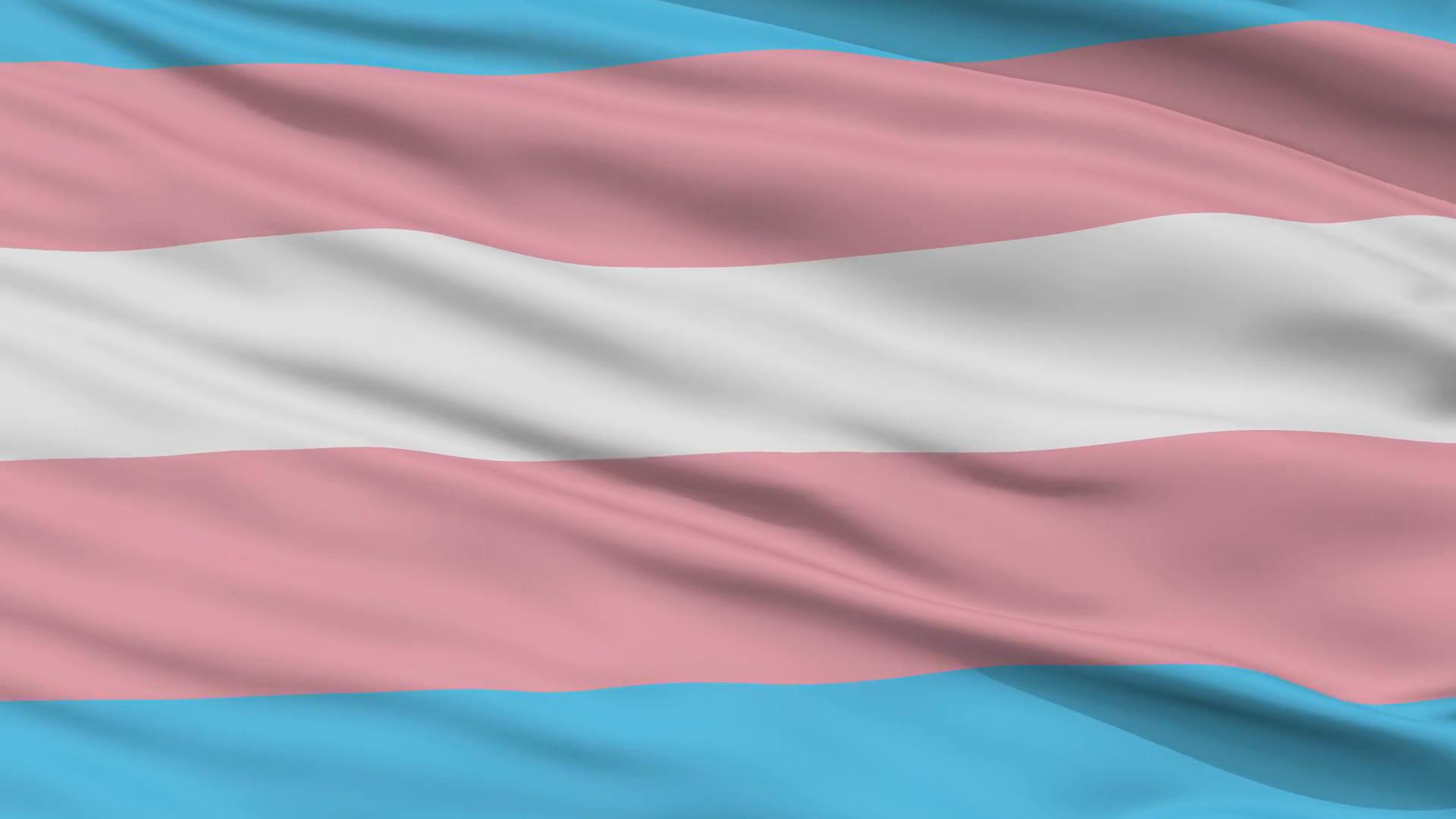 Transgender Pride Flag Wallpapers - Wallpaper Cave.