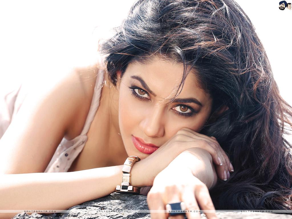 Hot Bollywood Heroines & Actresses HD Wallpaper I Indian