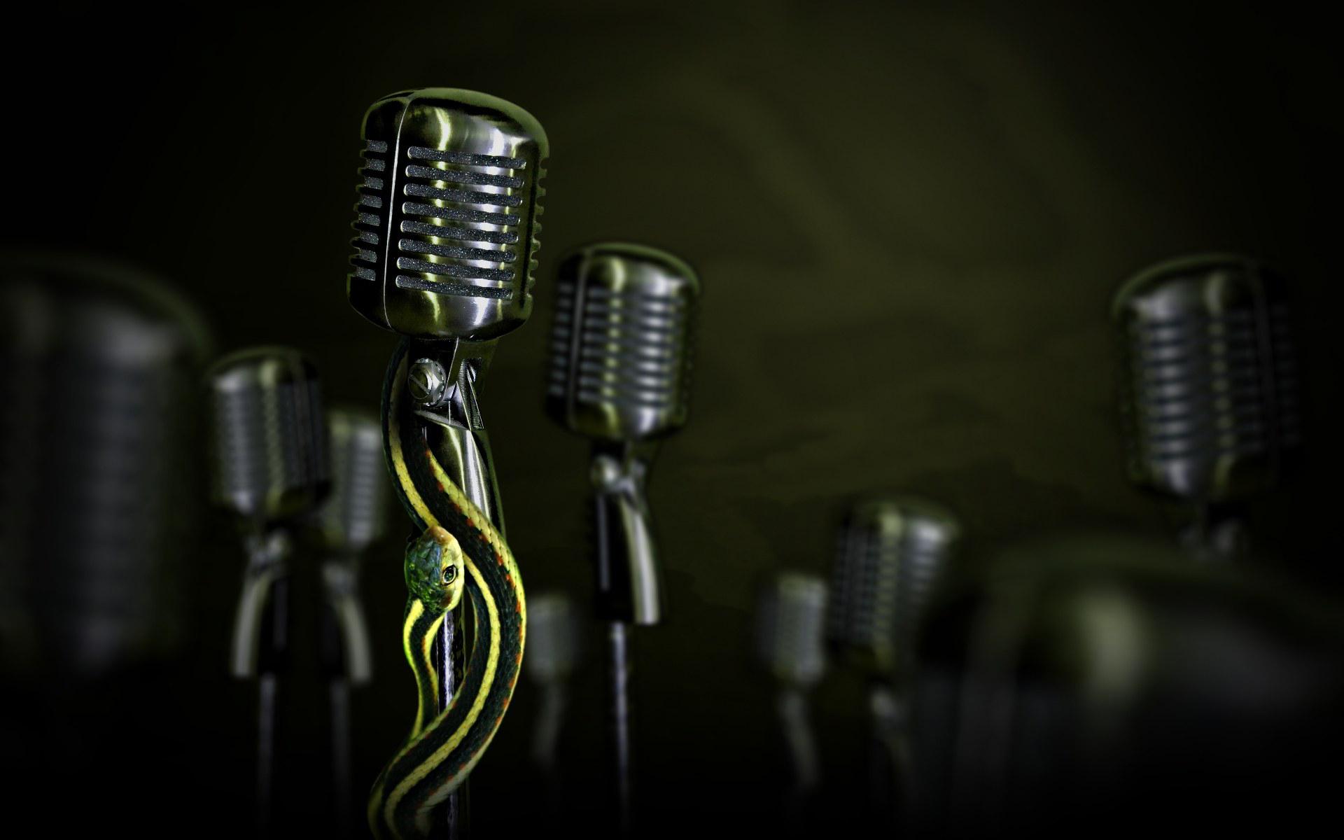 Snakes on Microphone HD Wallpaper. Background Image