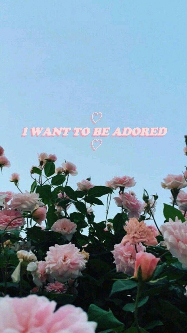 sksksksk⛅. Wallpaper