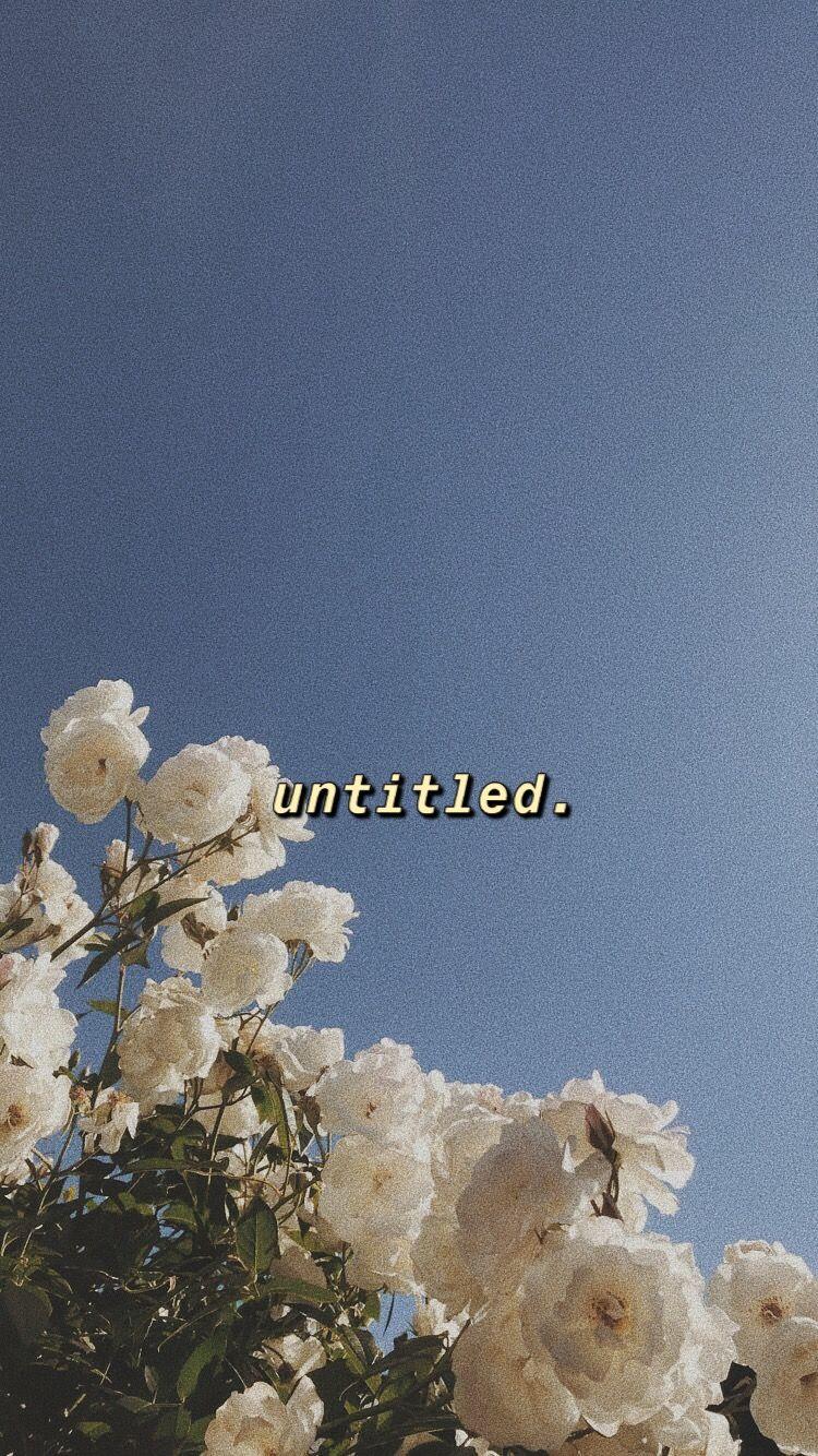 KING OF THE SOUTH. wallpaper. Aesthetic wallpaper