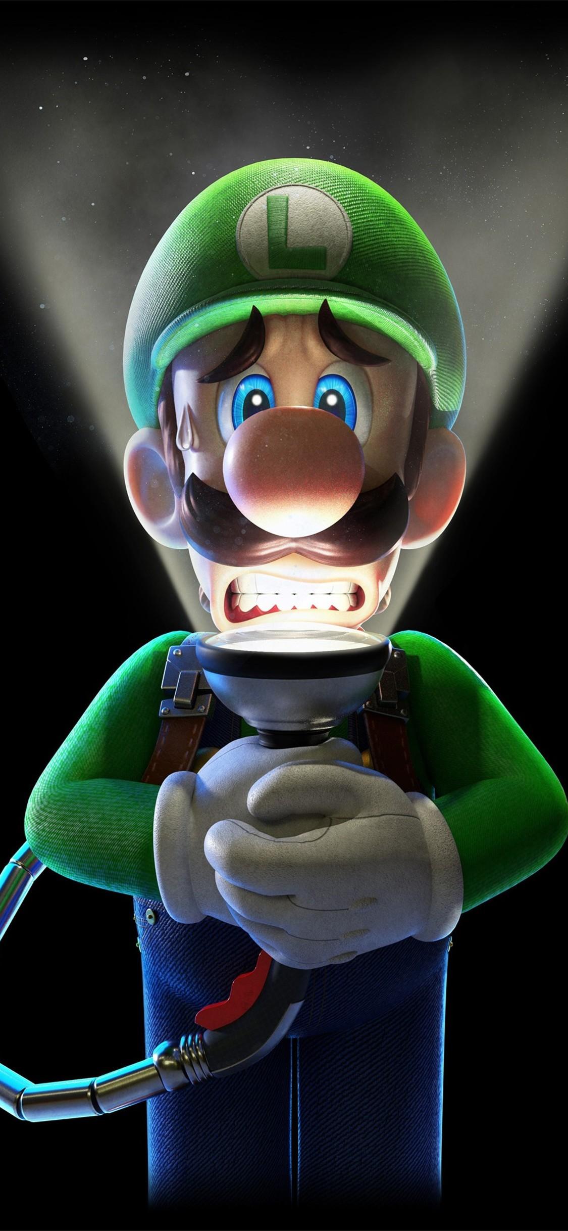 10+ Luigi's Mansion HD Wallpapers and Backgrounds