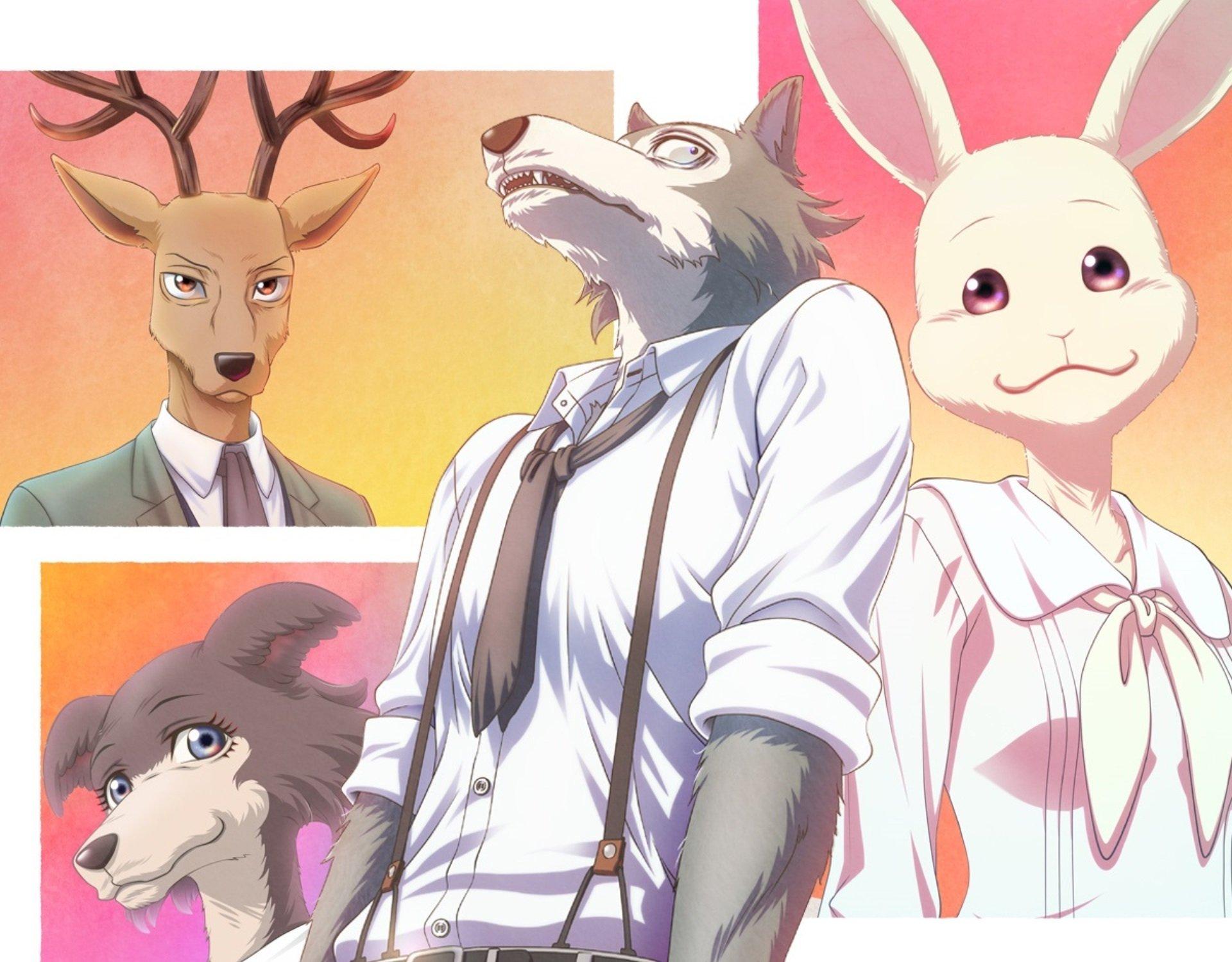 Beastars HD Wallpaper and Background Image