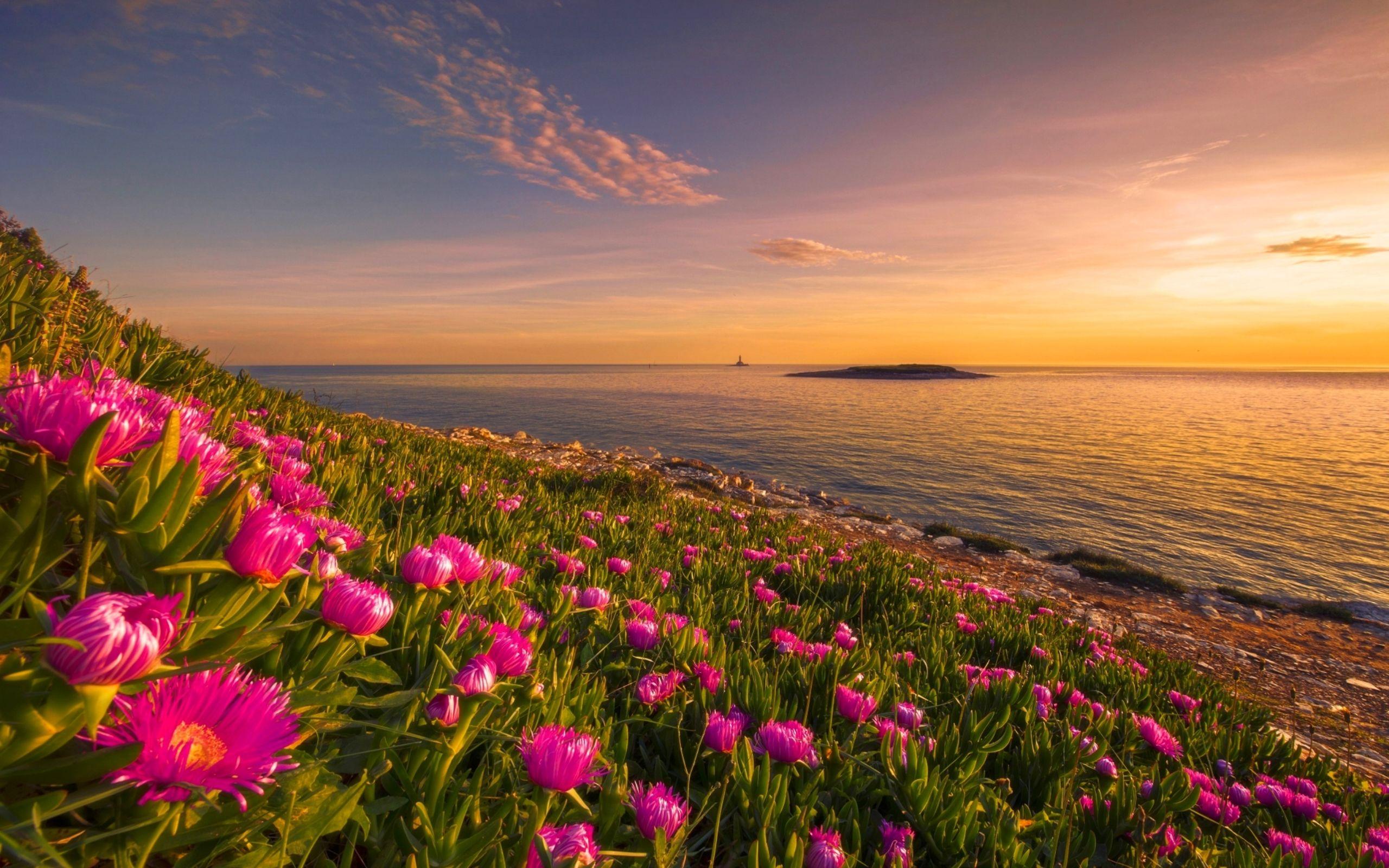 Flowers On The Sunset Wallpapers - Wallpaper Cave