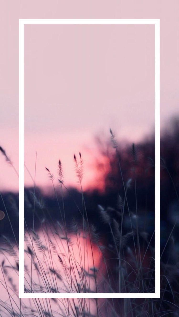 iPhone and Android Wallpaper: Pink Flower Sunset Wallpaper
