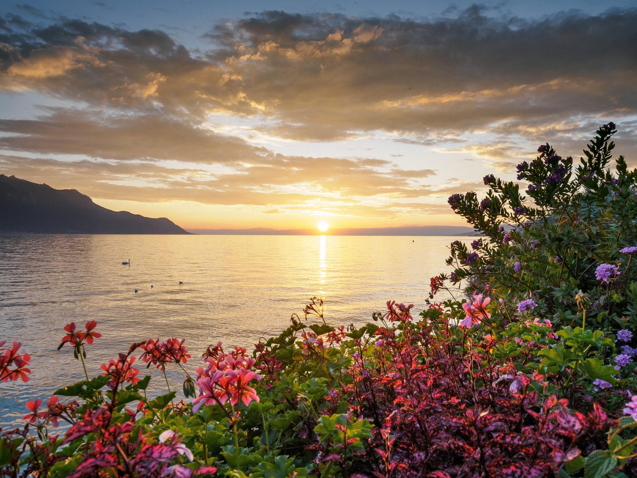 clouds, Montreux, flowers, sunset, hills, lake, France