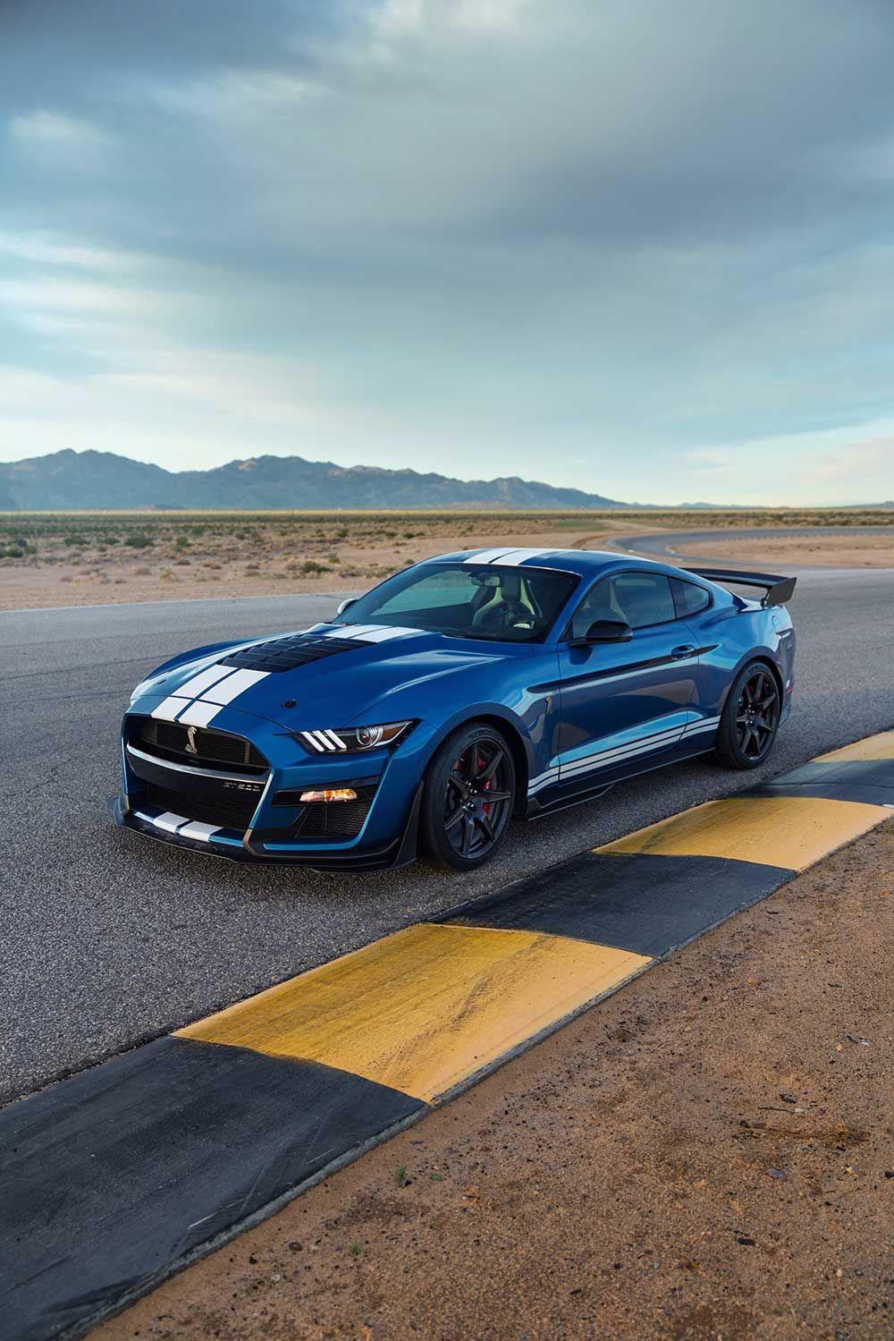 Ford Mustang Shelby GT500 Picture & Wallpaper. Ford